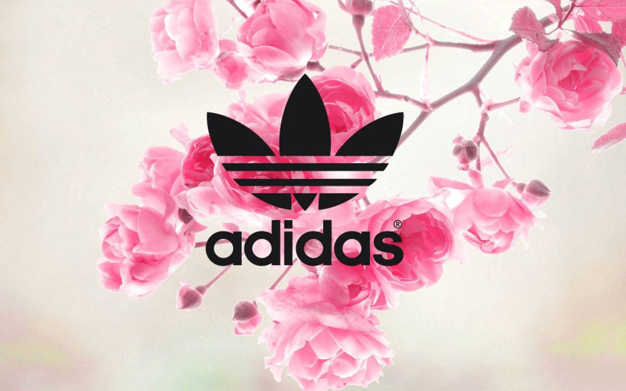 receta Leonardoda bostezando Pink Adidas Logo Wallpapers on WallpaperDog