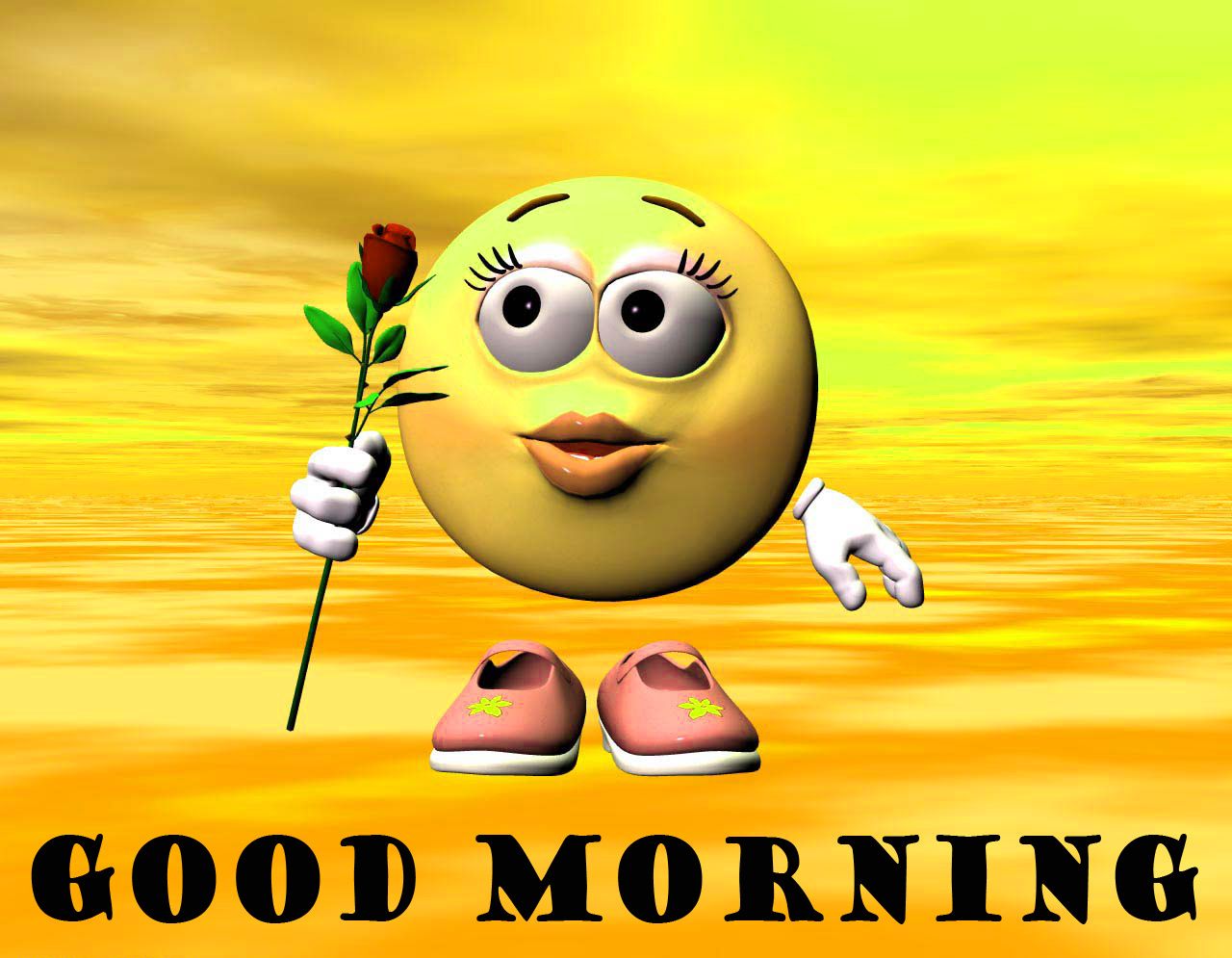 1280x995 452+ Funny Good Morning Images Wallpaper Photo Pics HD Download
