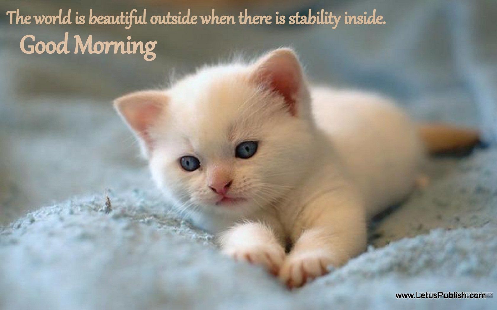 1680x1050 Download Cute Good Morning Wallpapers With Quotes Gallery