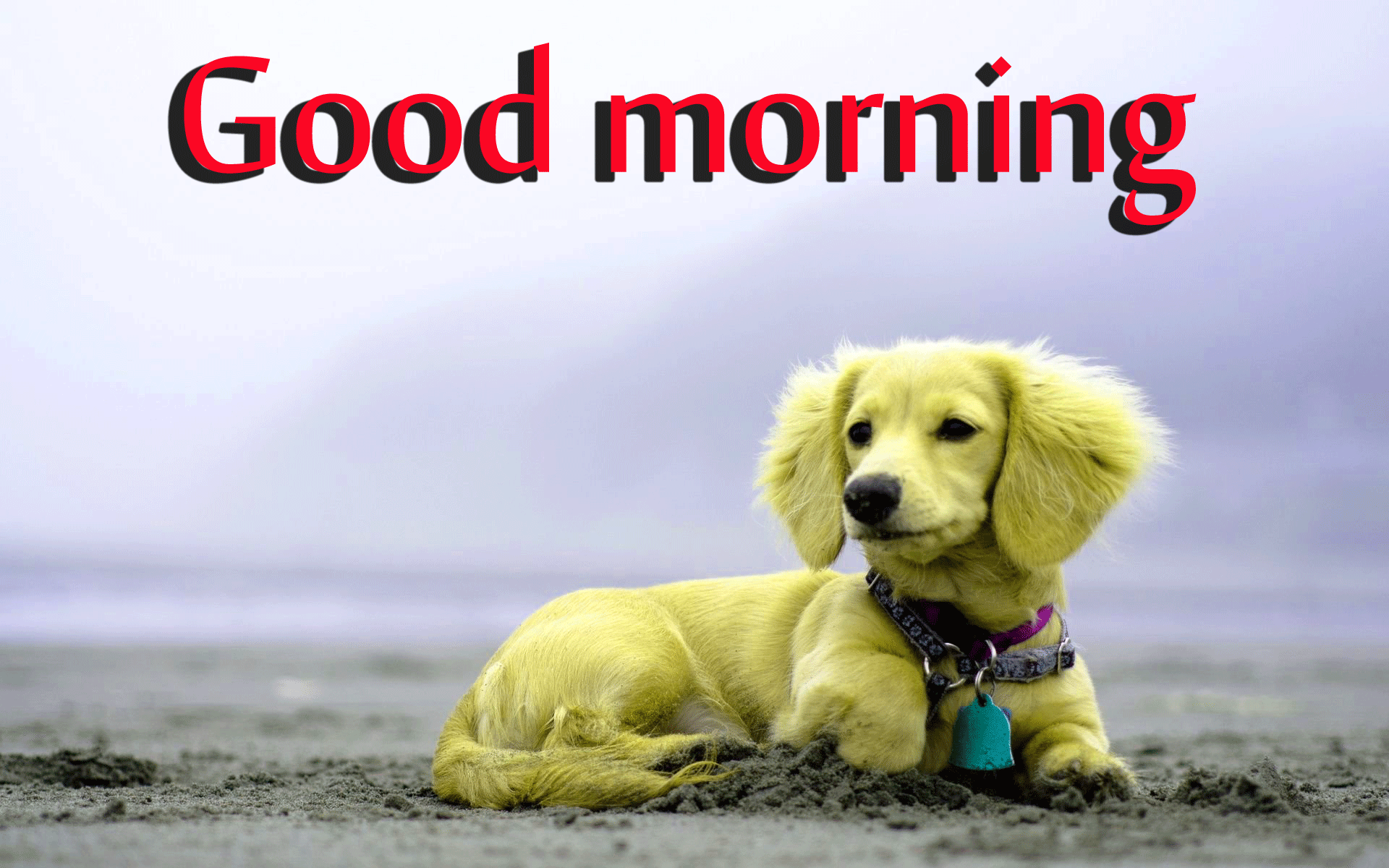 1920x1200 Cute Good Morning Images For Facebook ✓ Fitrini