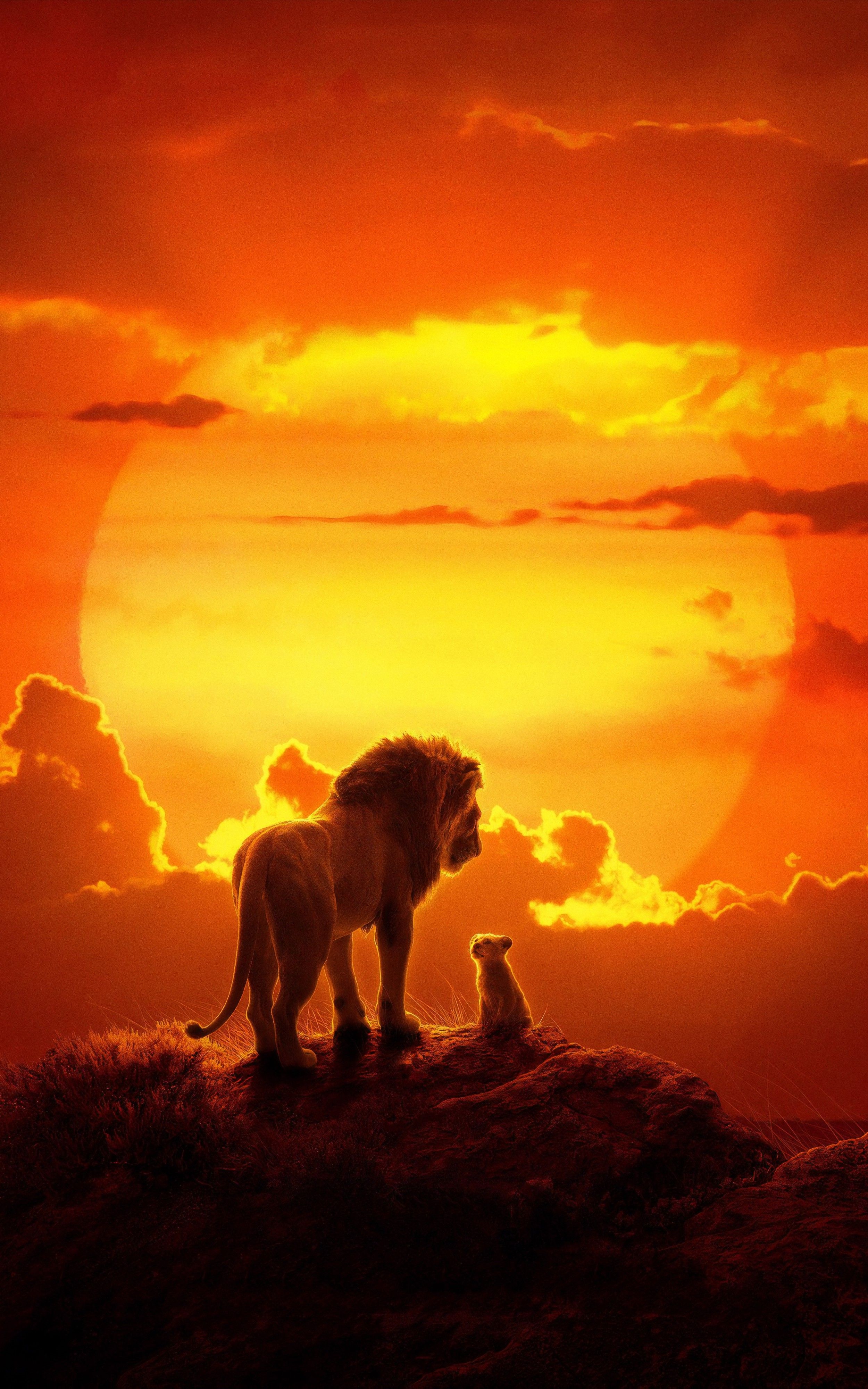 Best The lion king iPhone 11 HD Wallpapers  iLikeWallpaper