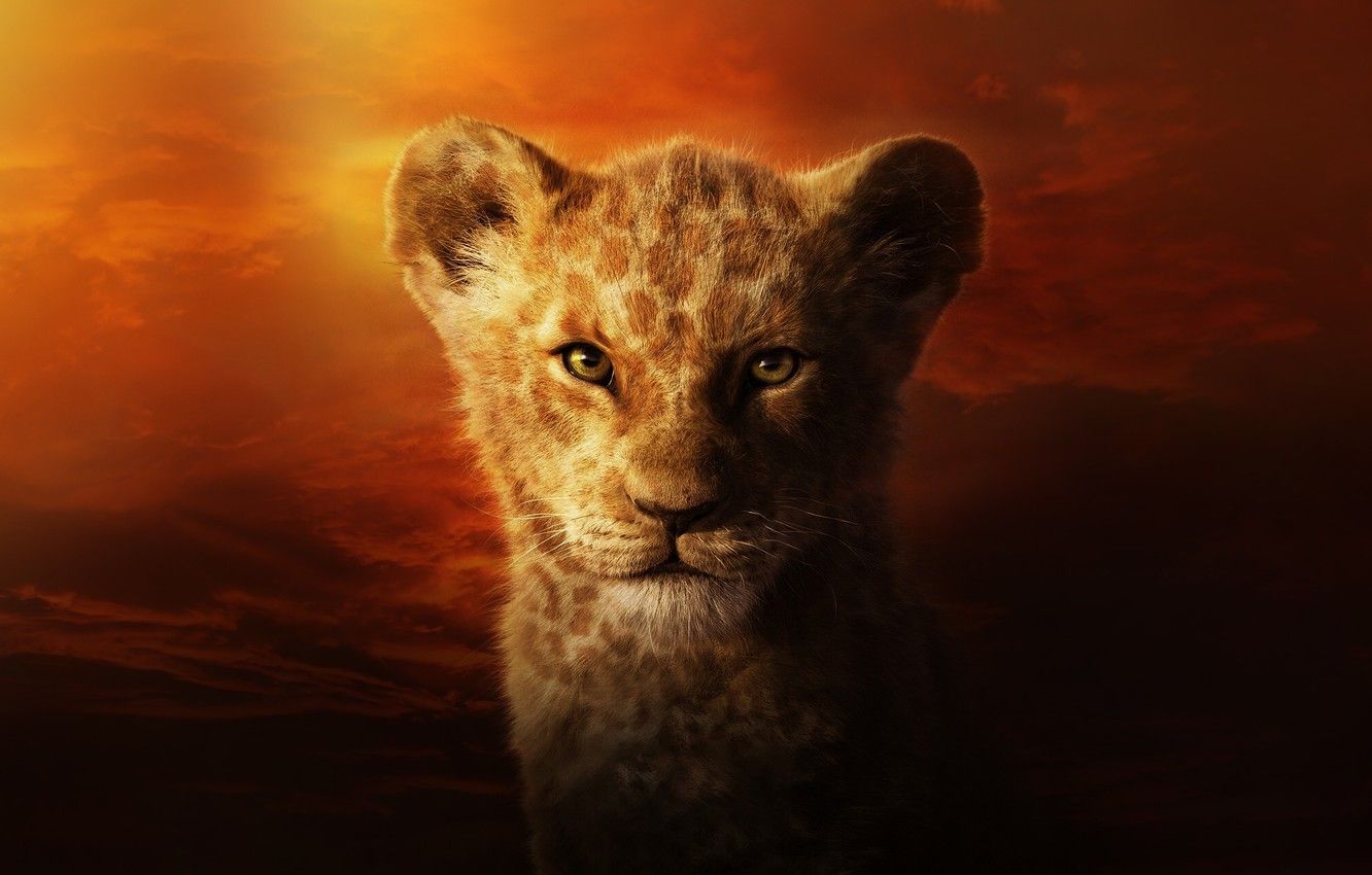 New Lion King Wallpapers On Wallpaperdog