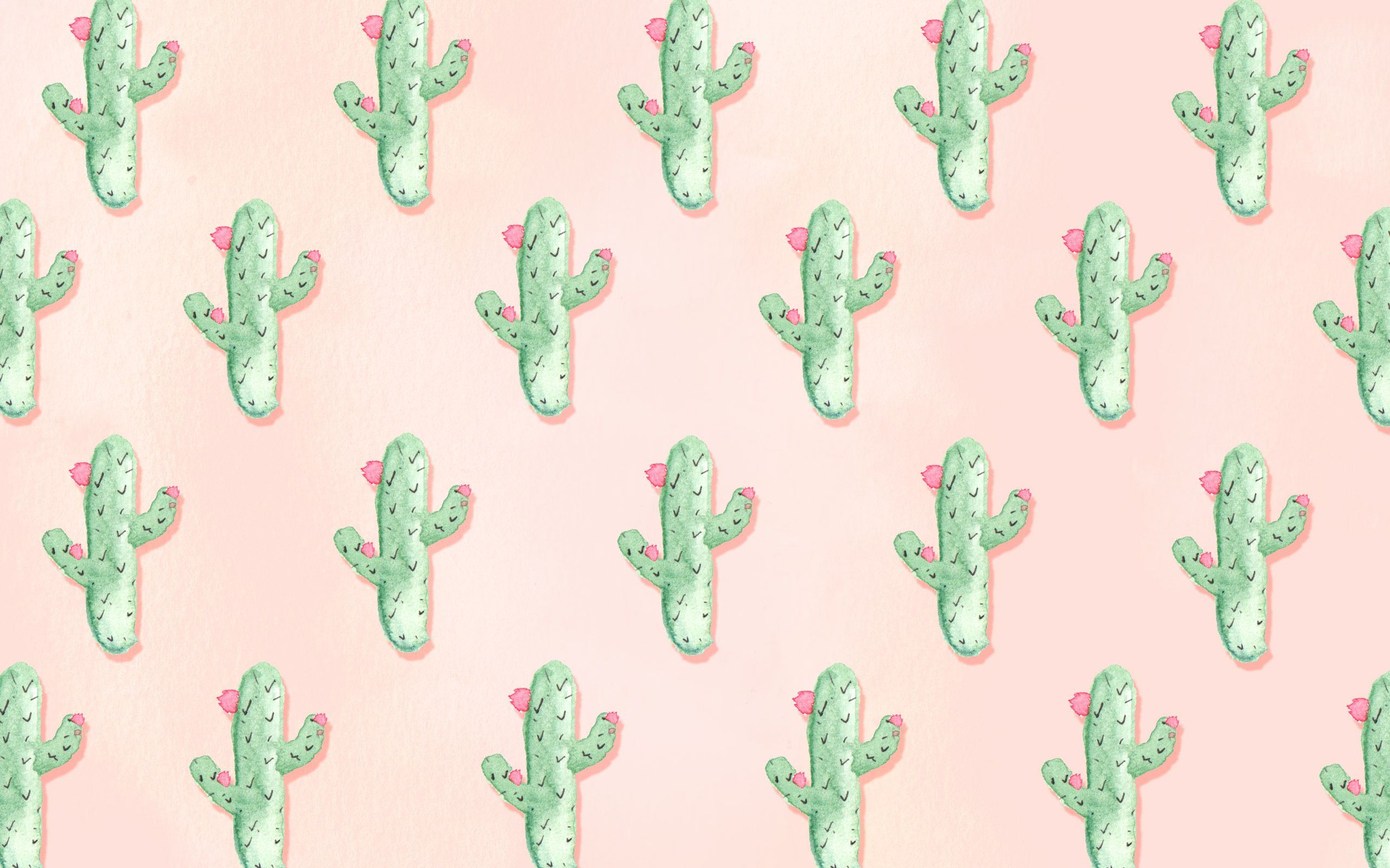 cute aesthetic succulent wallpapers top free cute on cute aesthetic cactus wallpapers