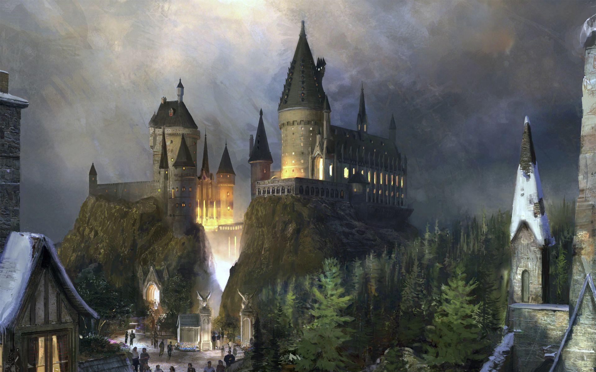 Harry Potter Wallpaper Hogwarts School of Witchcraft & Wizardry Official  Imported Eurpoean Wallpaper 