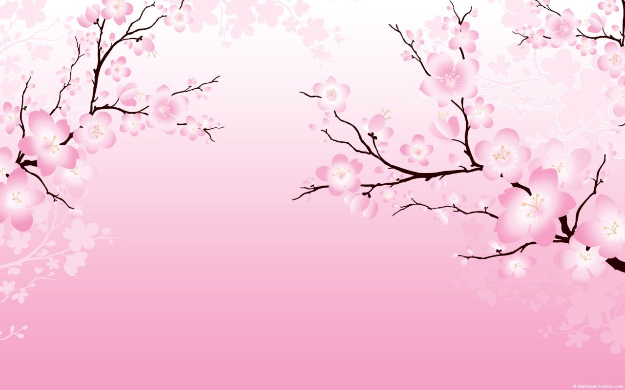 Pink Cherry Blossom Wallpaper HD – Cute Wallpapers 2023