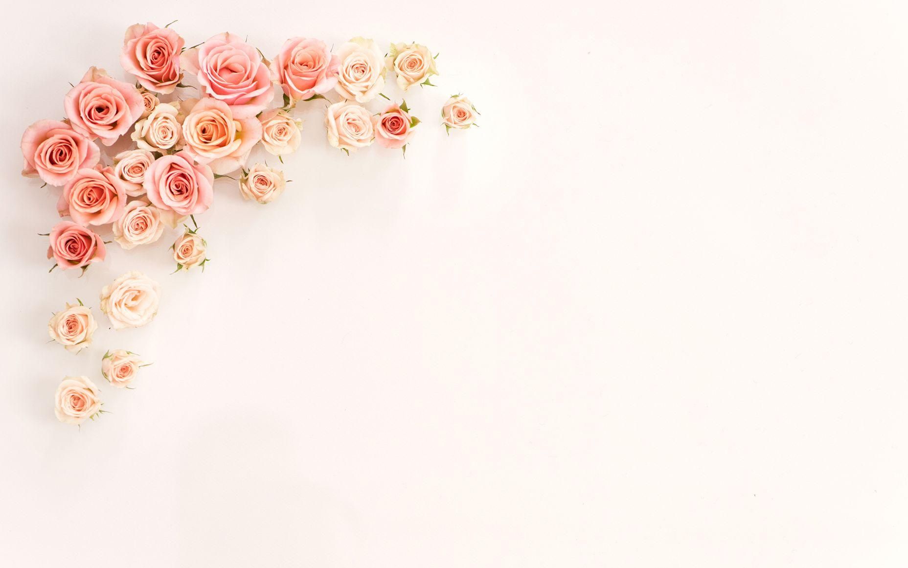 Download Rose Gold Aesthetic Photography Wallpaper  Wallpaperscom