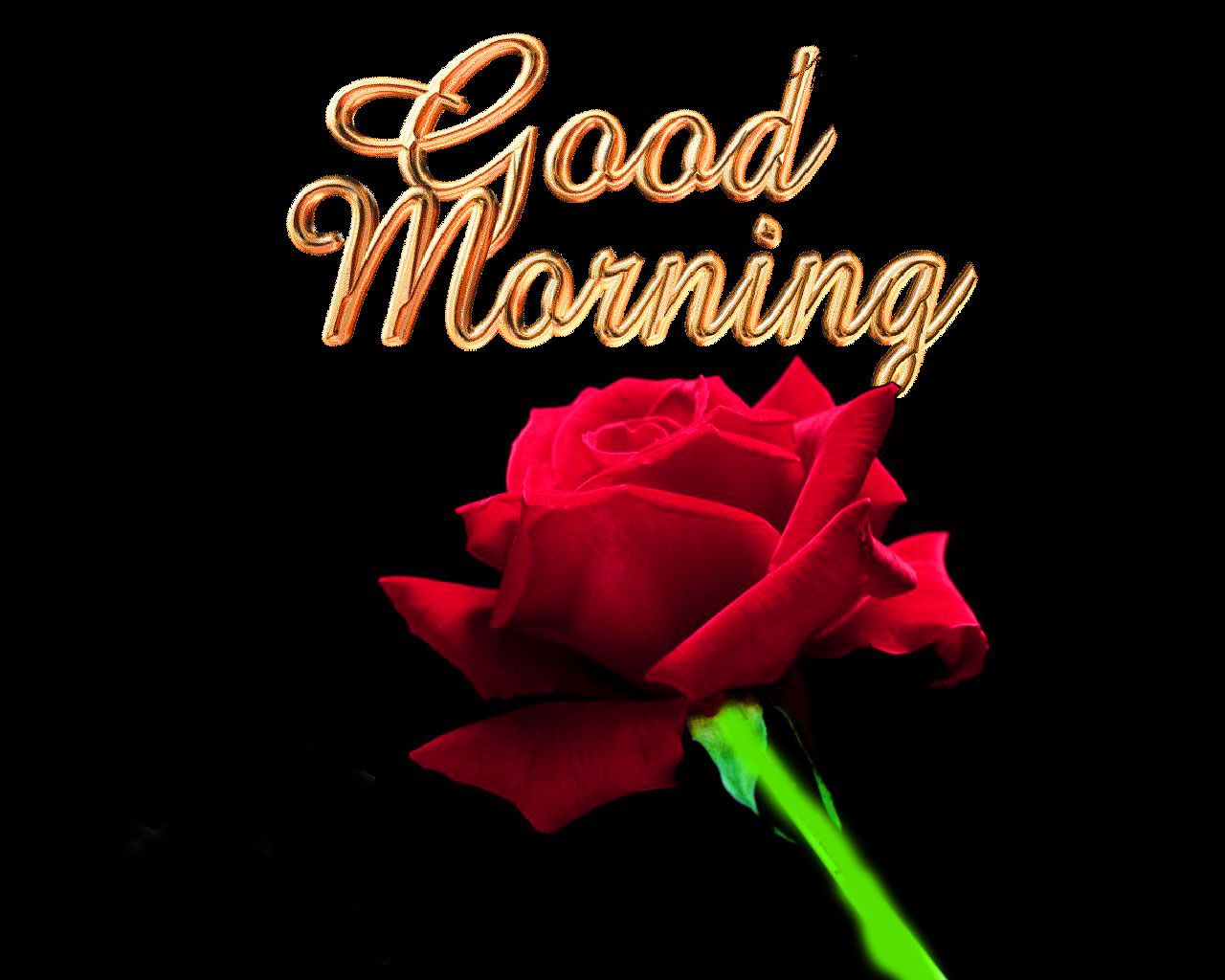 3d Wallpaper Download Good Morning Image Num 8