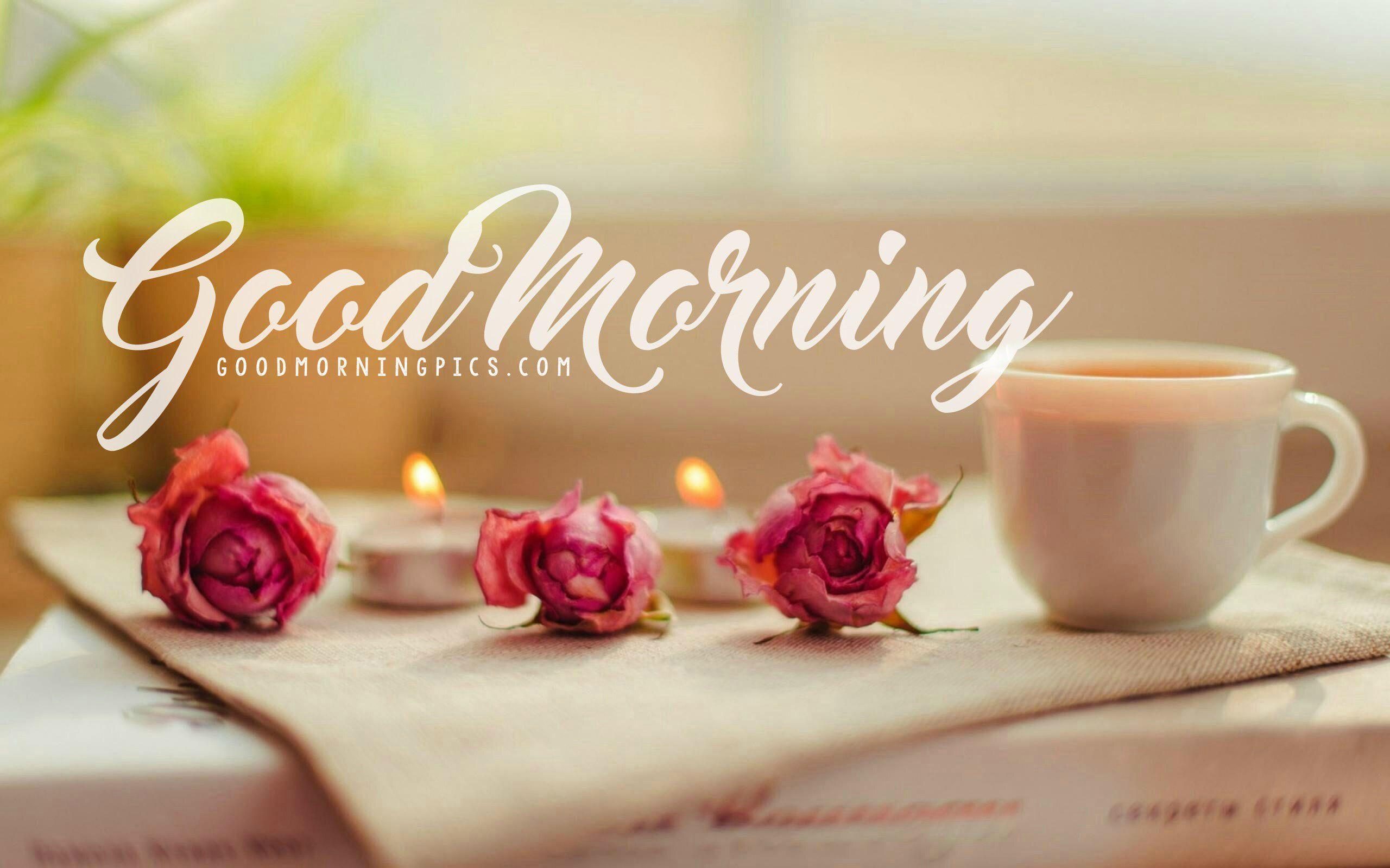 2560x1600 Good Morning Wallpapers for Android - APK Download