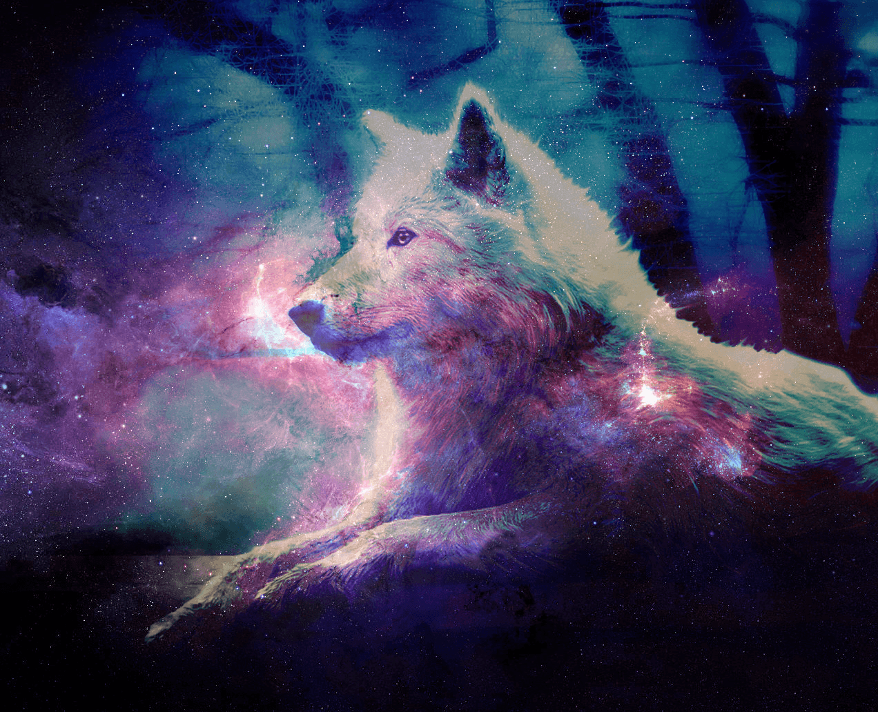 Galaxy Wolf Images Browse 789 Stock Photos  Vectors Free Download with  Trial  Shutterstock