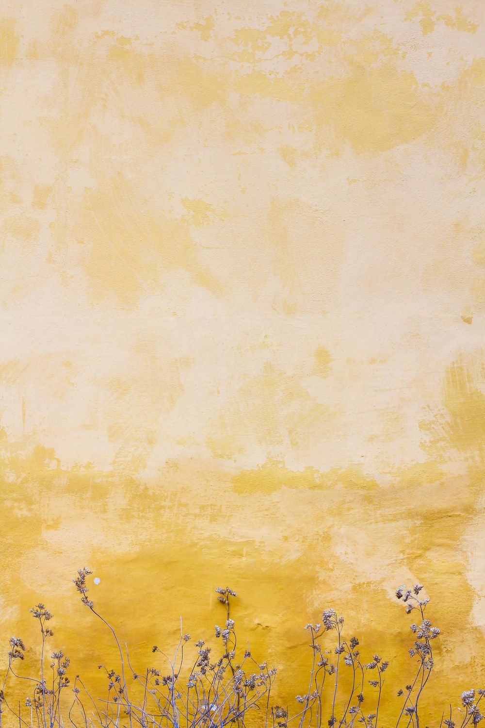 Yellow Rose Aesthetic Wallpapers On Wallpaperdog