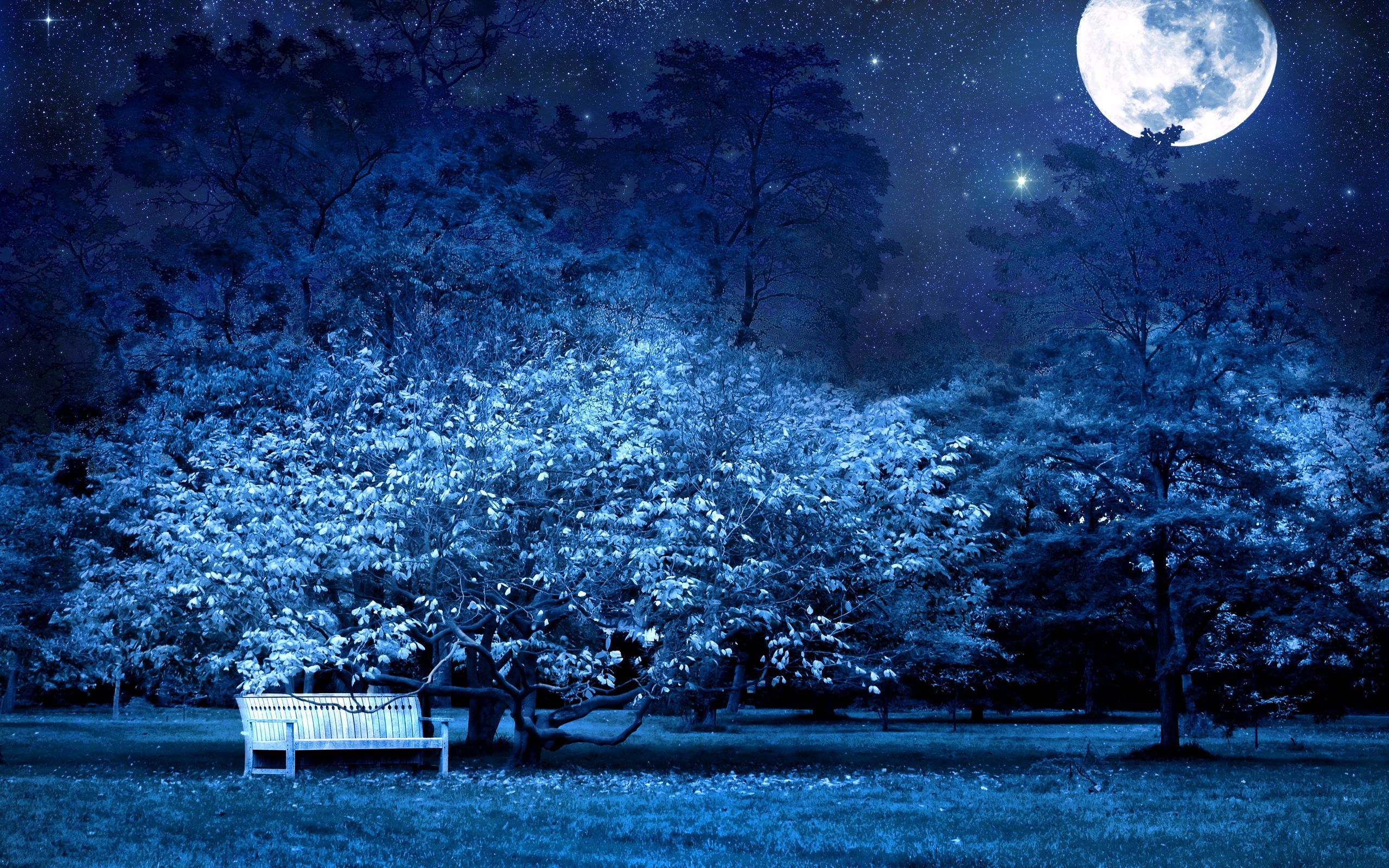Good Night  Beautiful Nature Wallpaper Download  MobCup