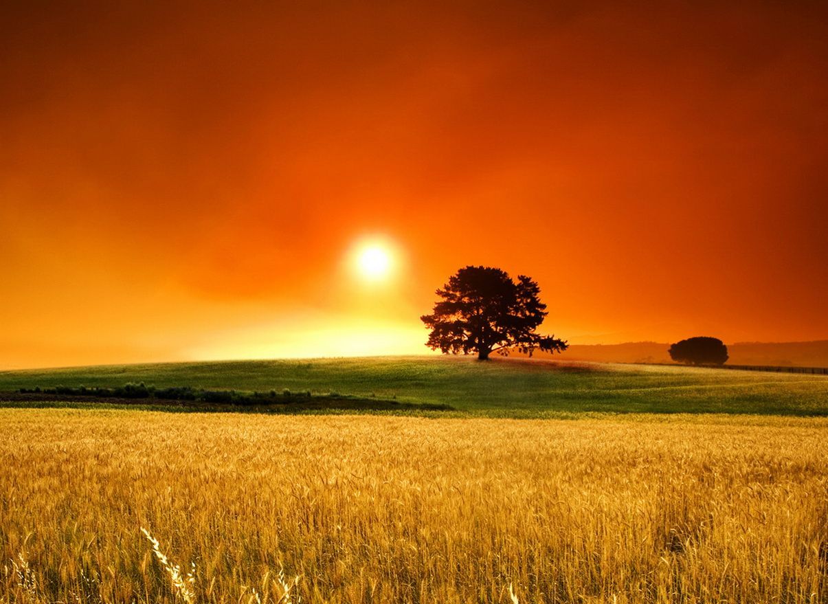 Country Sunset Wallpapers on WallpaperDog
