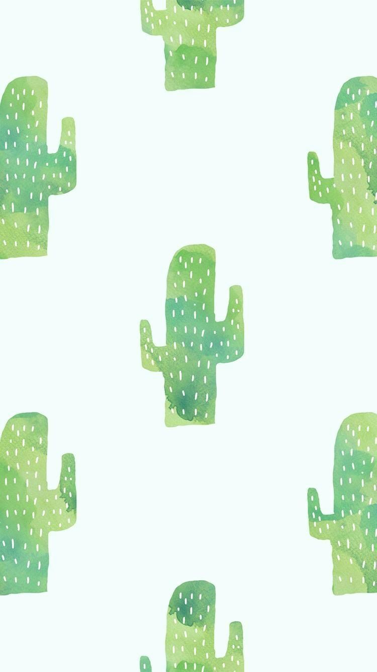 Cute Cactus Wallpapers on WallpaperDog