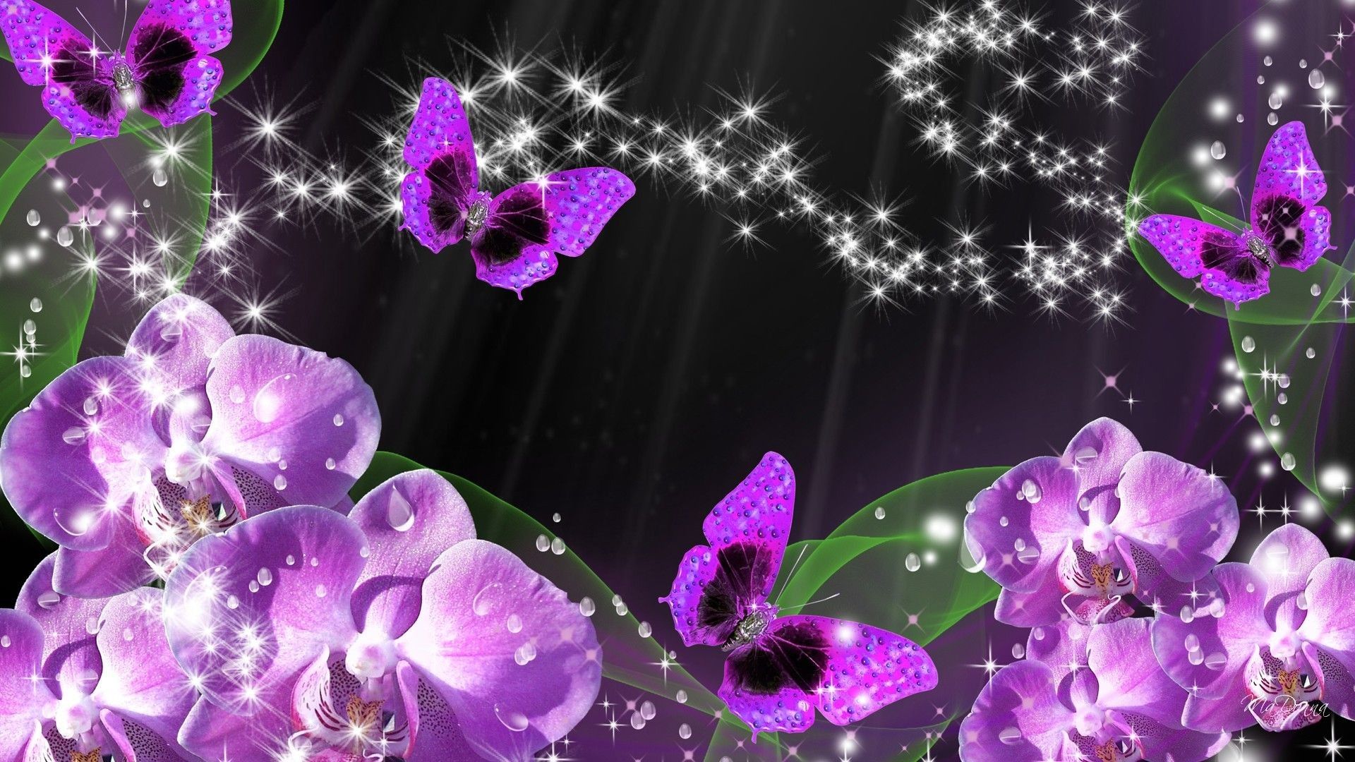 Blue and Purple Orchids Wallpapers on WallpaperDog