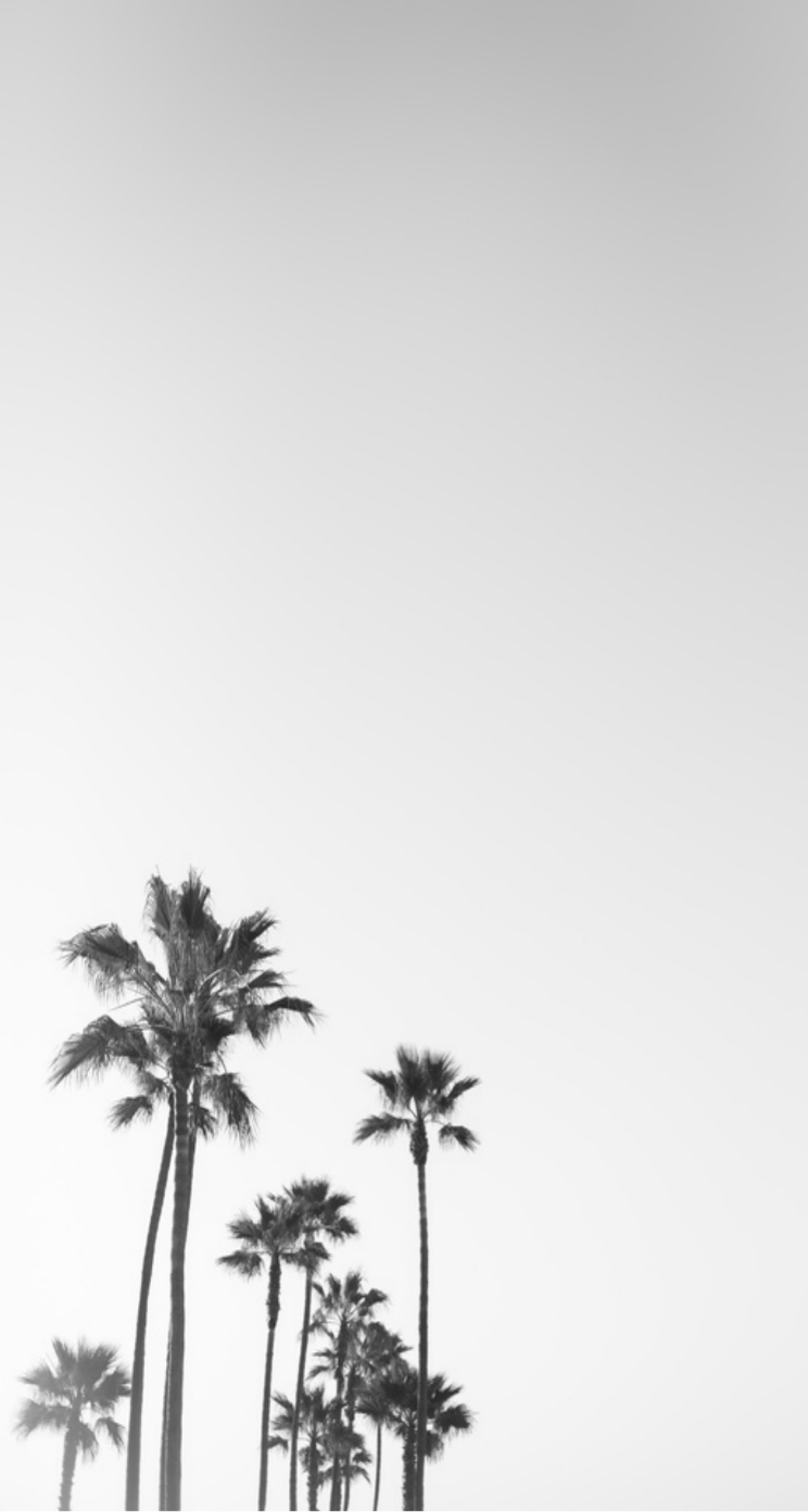 Simple iPhone Wallpapers on WallpaperDog