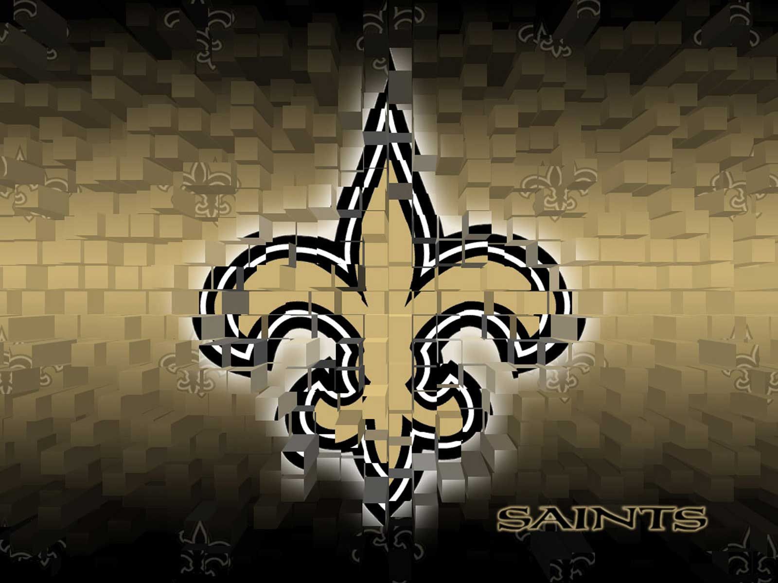 Download A Loyal Fan of the New Orleans Saints Wallpaper