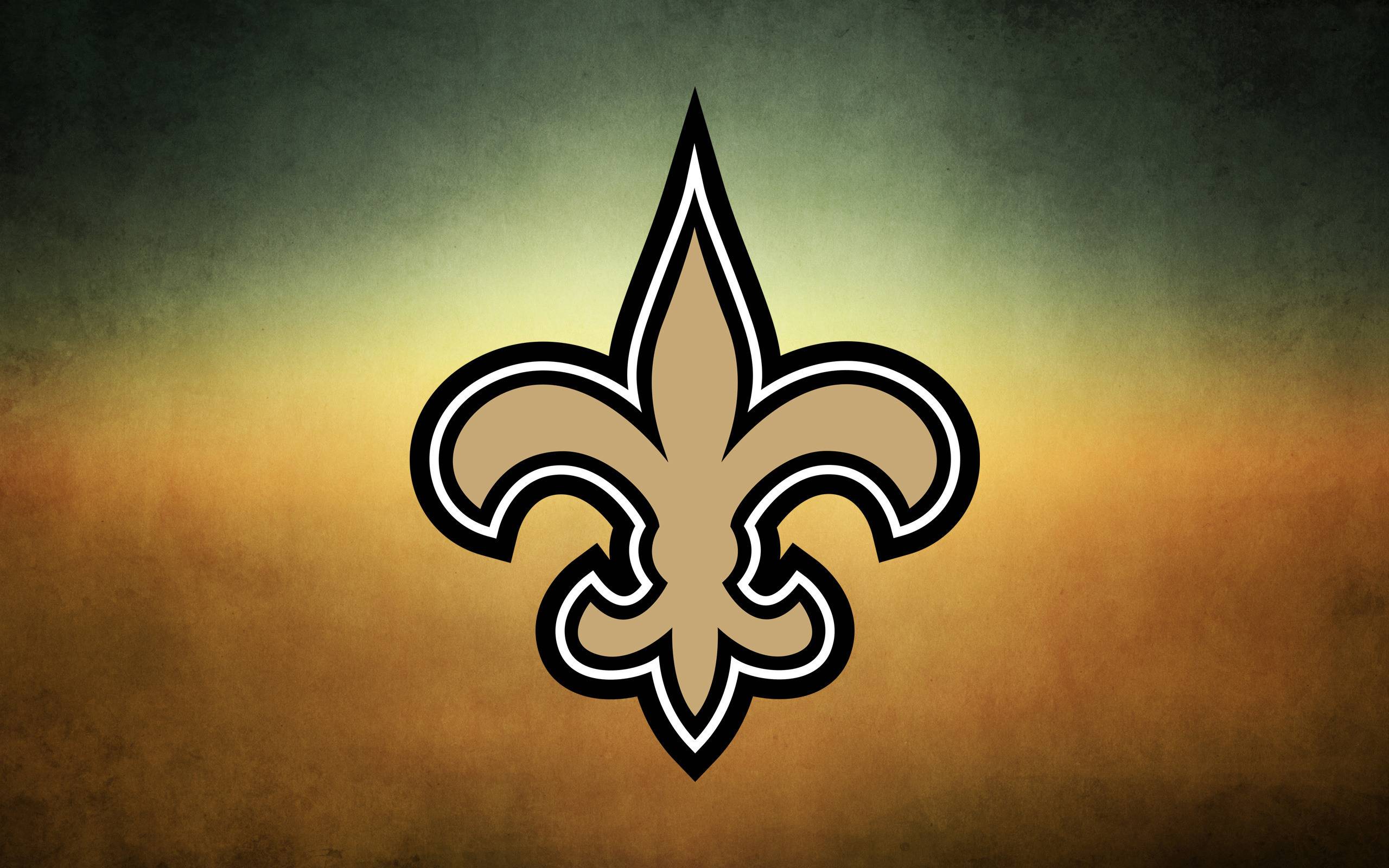 New Orleans Saints wallpaper by MizKjg  Download on ZEDGE  b7b0