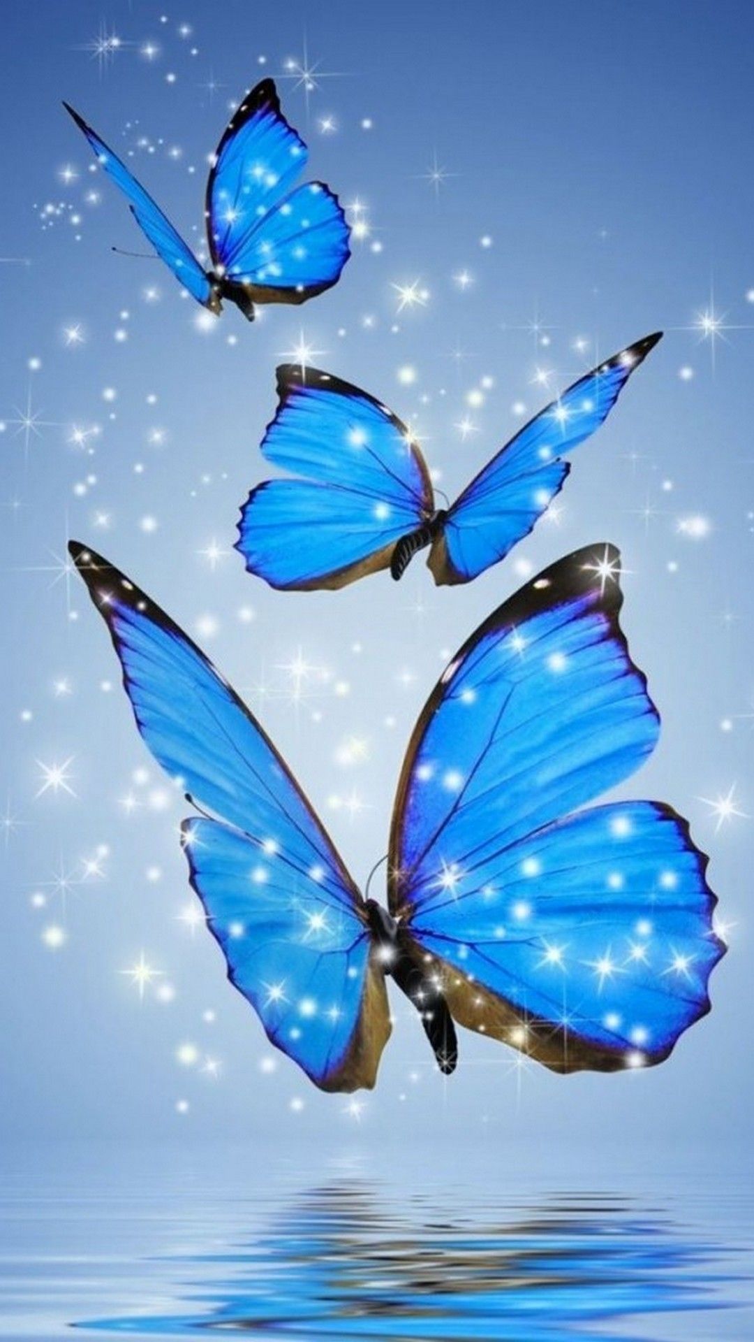 blue-butterfly-wallpapers-on-wallpaperdog