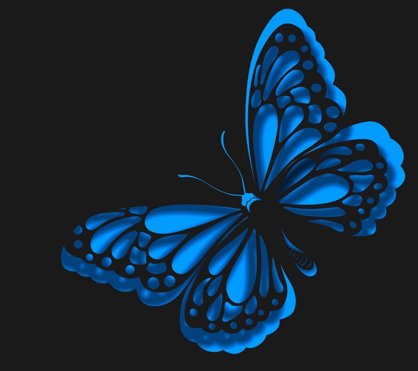 47 Blue Butterfly HD Wallpaper  WallpaperSafari