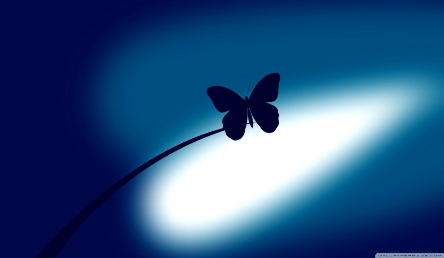 Cute Blue  Cute Blue Butterfly Wallpaper Download  MobCup
