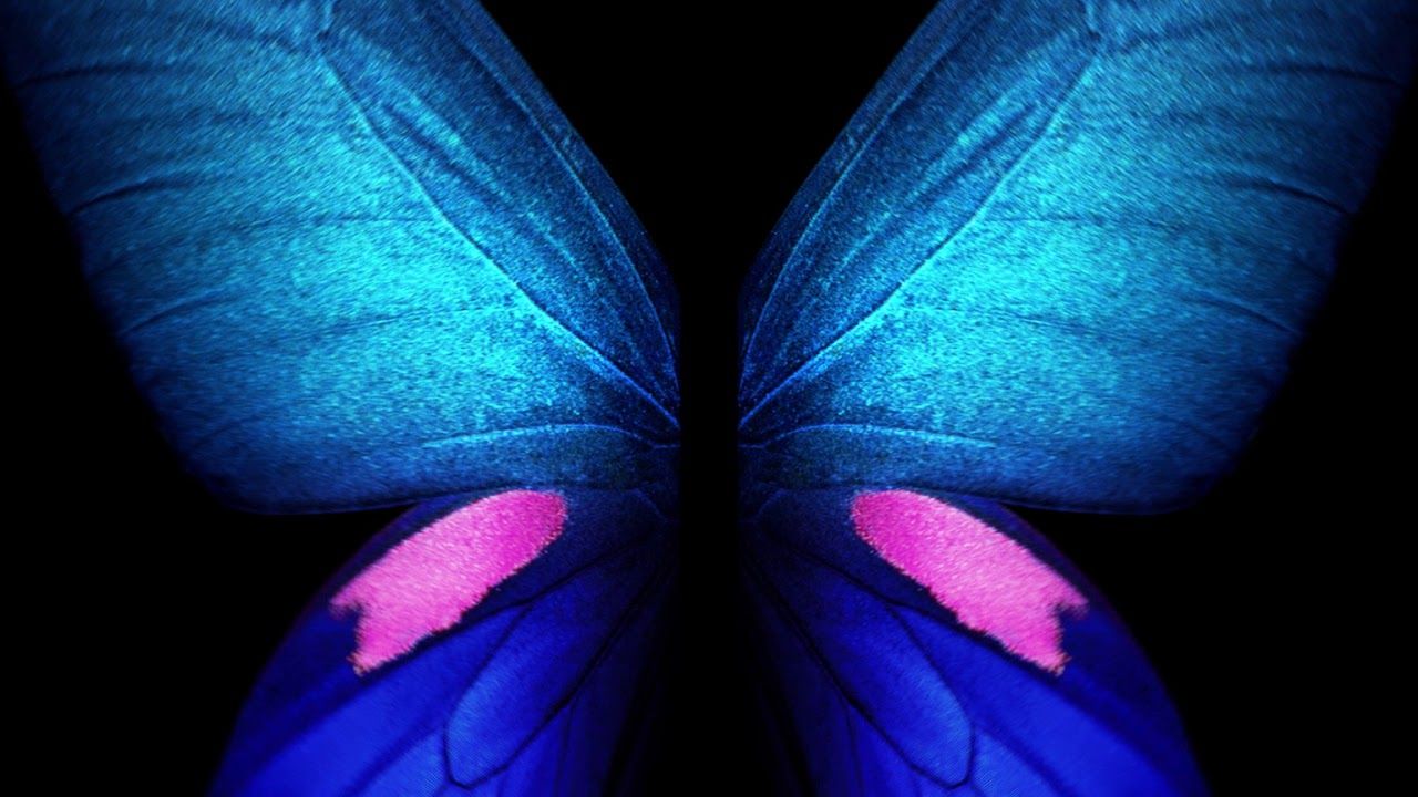 Blue Butterfly Wallpapers On Wallpaperdog