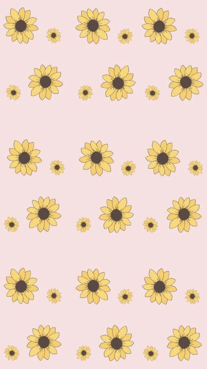 Lock screen May 2018  Flower VSCO Sunflower HD phone wallpaper  Pxfuel