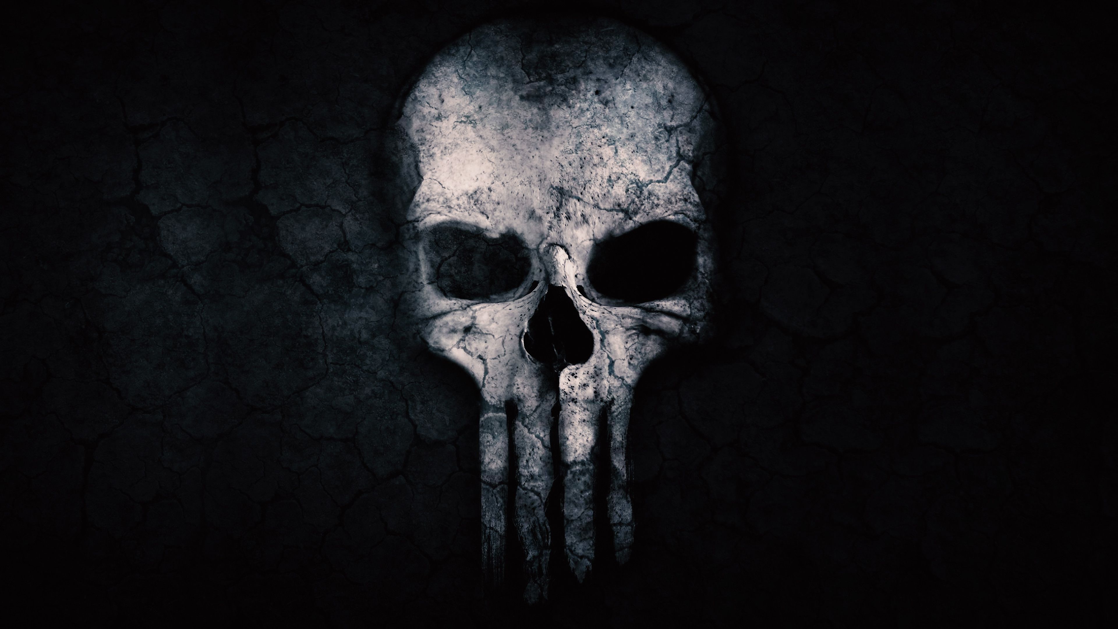 Download The Punisher wallpapers for mobile phone, free The