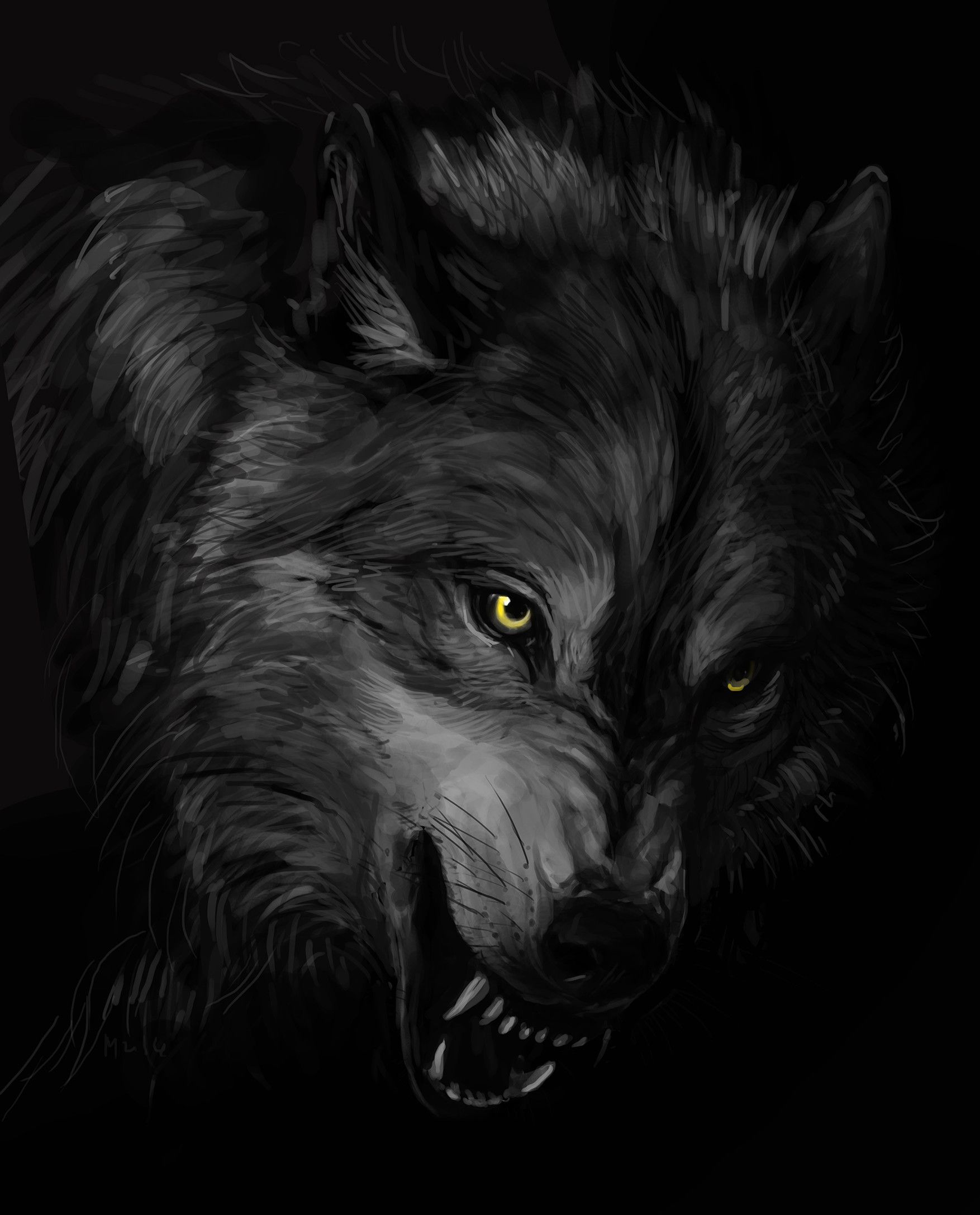 Black Wolf 3d Wallpaper Image Num 39