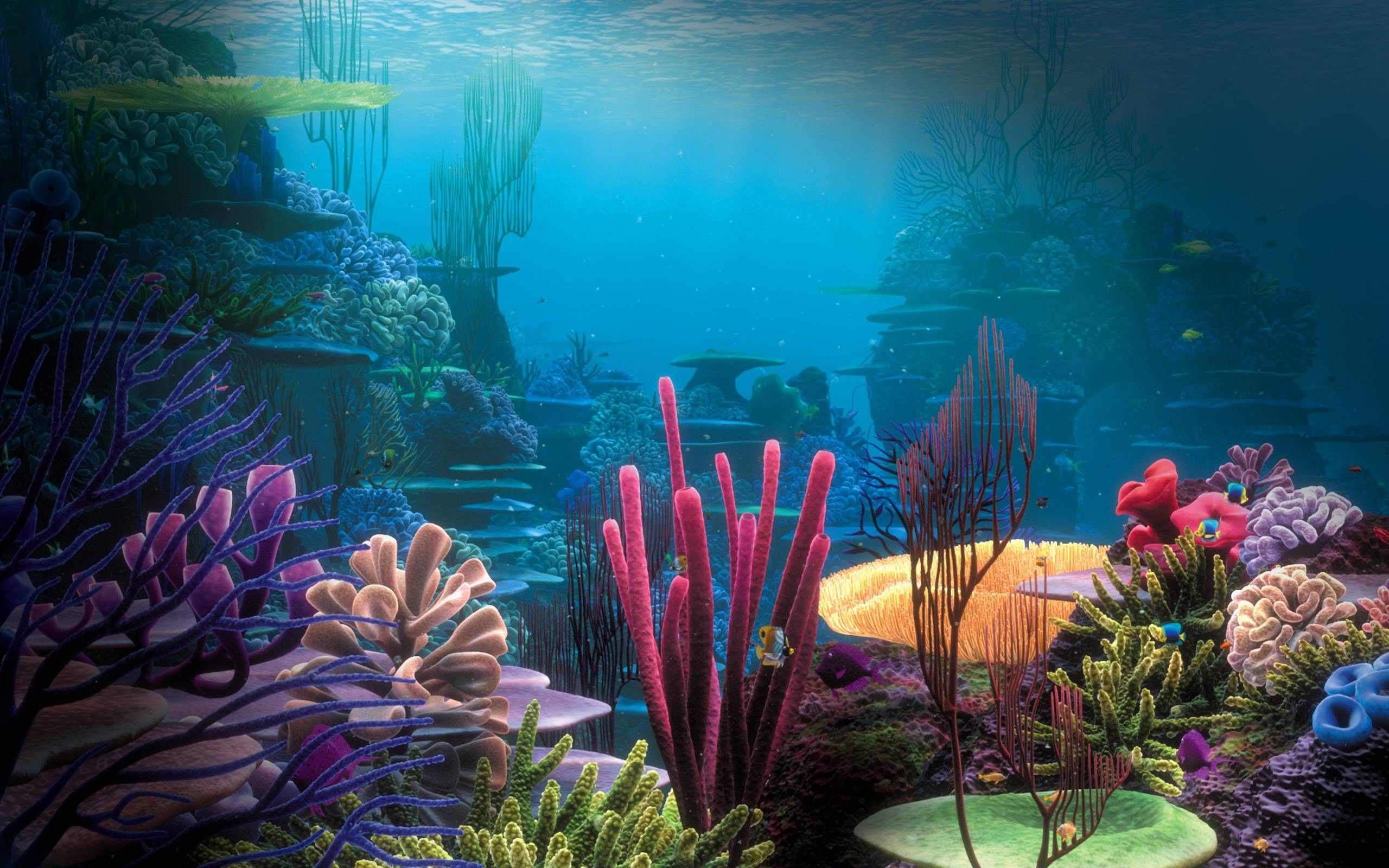 Underwater Wallpapers  Top Free Underwater Backgrounds  WallpaperAccess