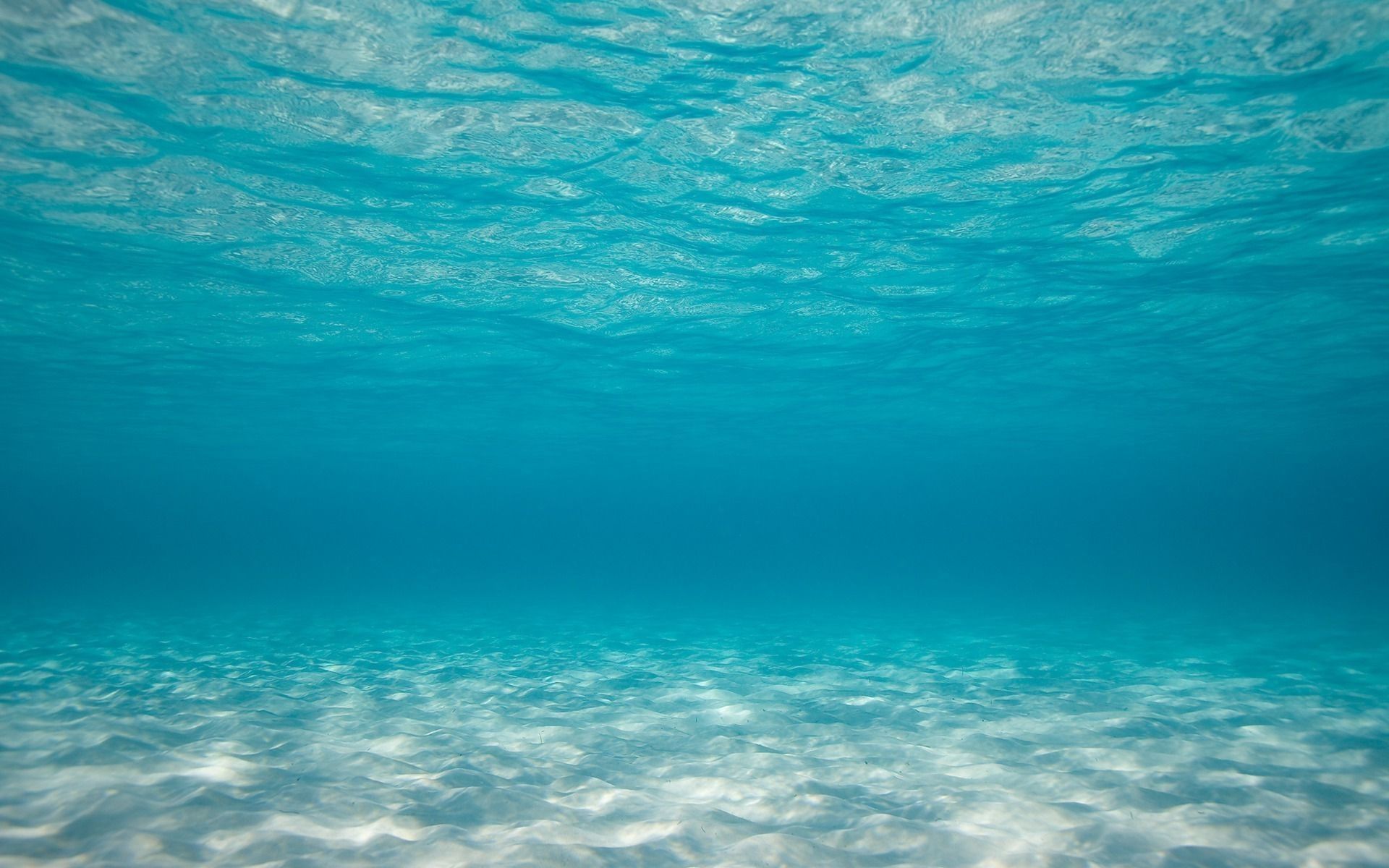 Underwater Ocean Wallpapers On WallpaperDog