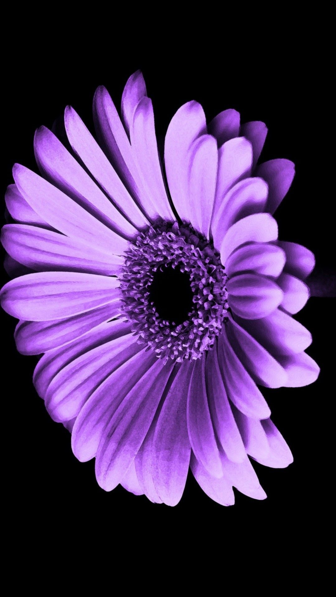 Purple Flower iPhone Wallpapers on WallpaperDog