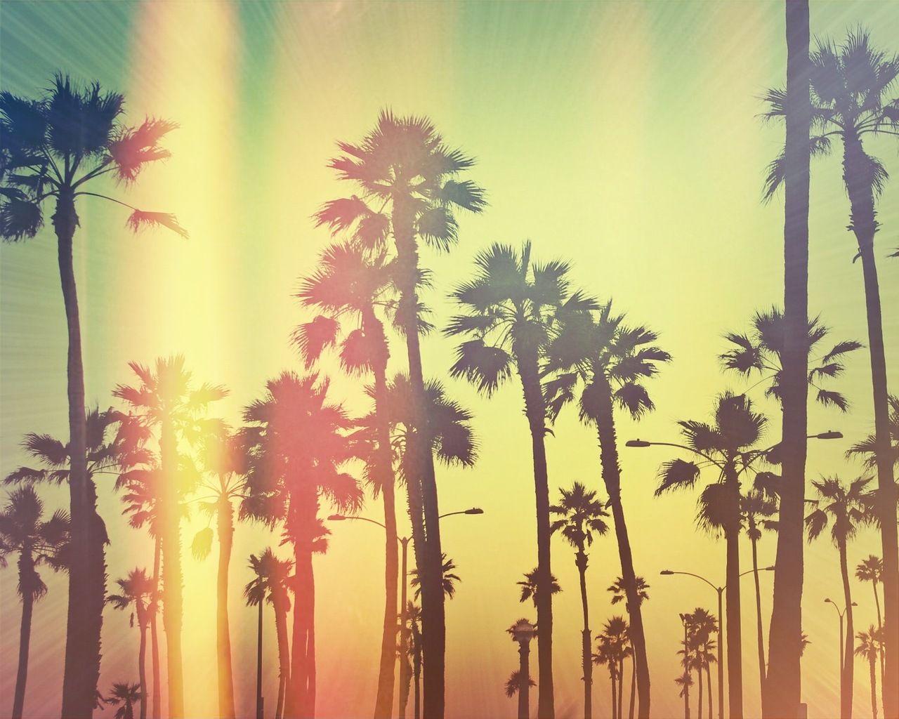 Desktop Wallpaper California Beach Sunset Evening Nature Yellow  Skyline Hd Image Picture Background Tb1 Ur