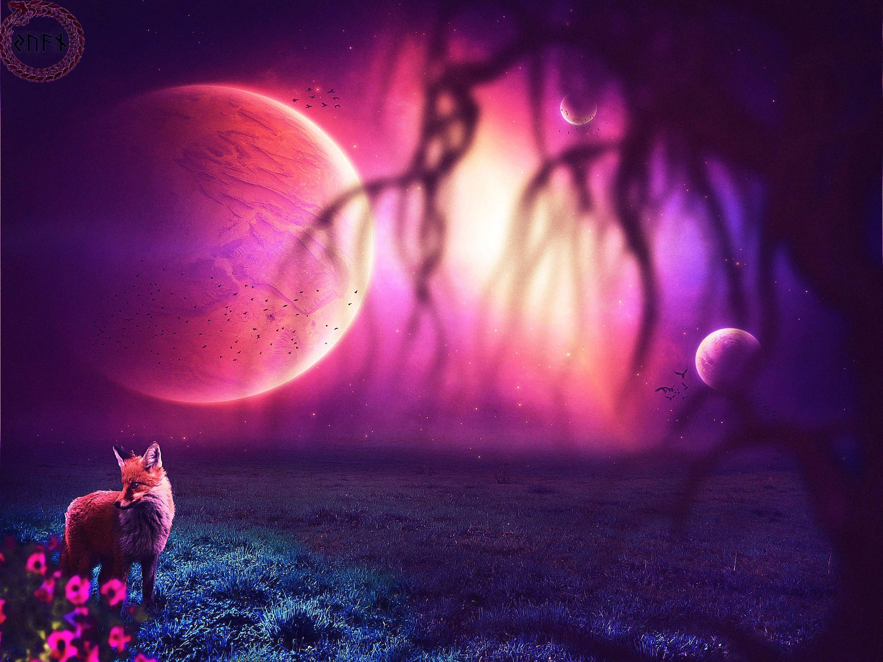 Galaxy Anime Fox Wallpapers On Wallpaperdog