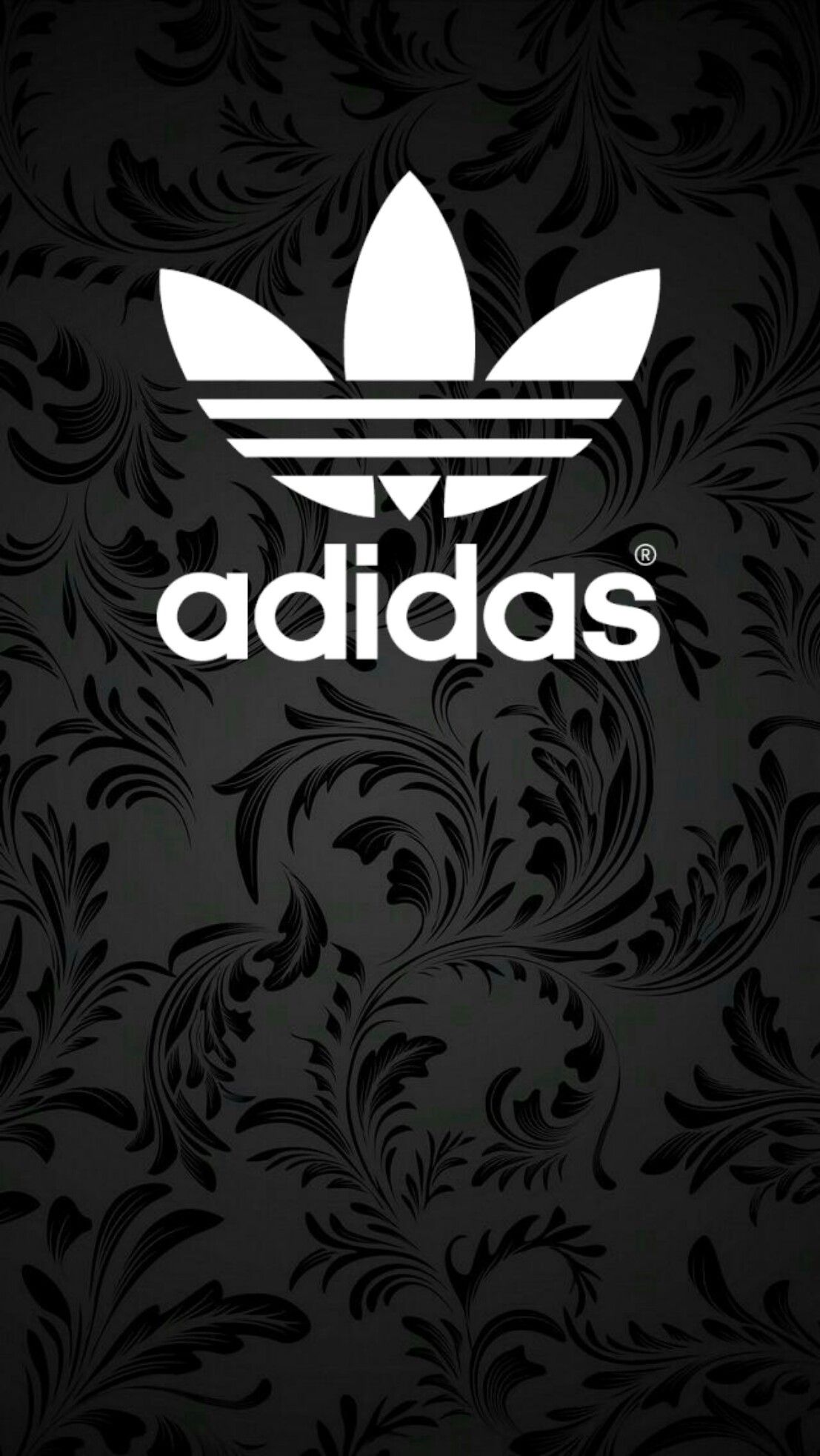 Adidas Skate Wallpapers WallpaperDog
