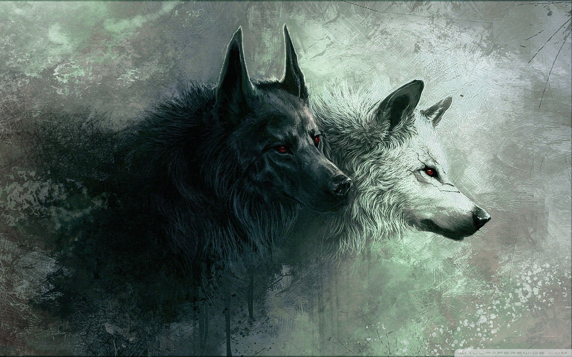 Cool Wolf Background 1920×1080 Wolf (39 ). Adorable . Animals, Two wolves,  Wolf black and white, Drawn Wolf HD wallpaper | Pxfuel