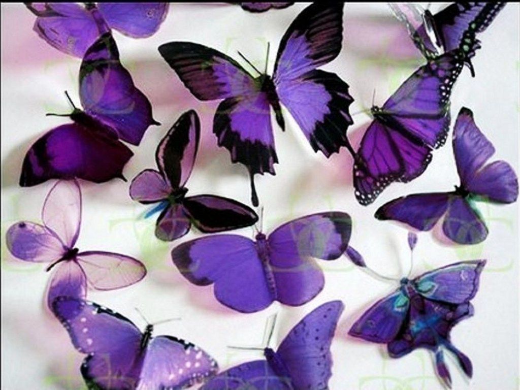 butterfly purple lavender purplebutterfly lavenderbutterfly  iphonebackground aesthet  Purple wallpaper iphone Purple butterfly  wallpaper Purple wallpaper