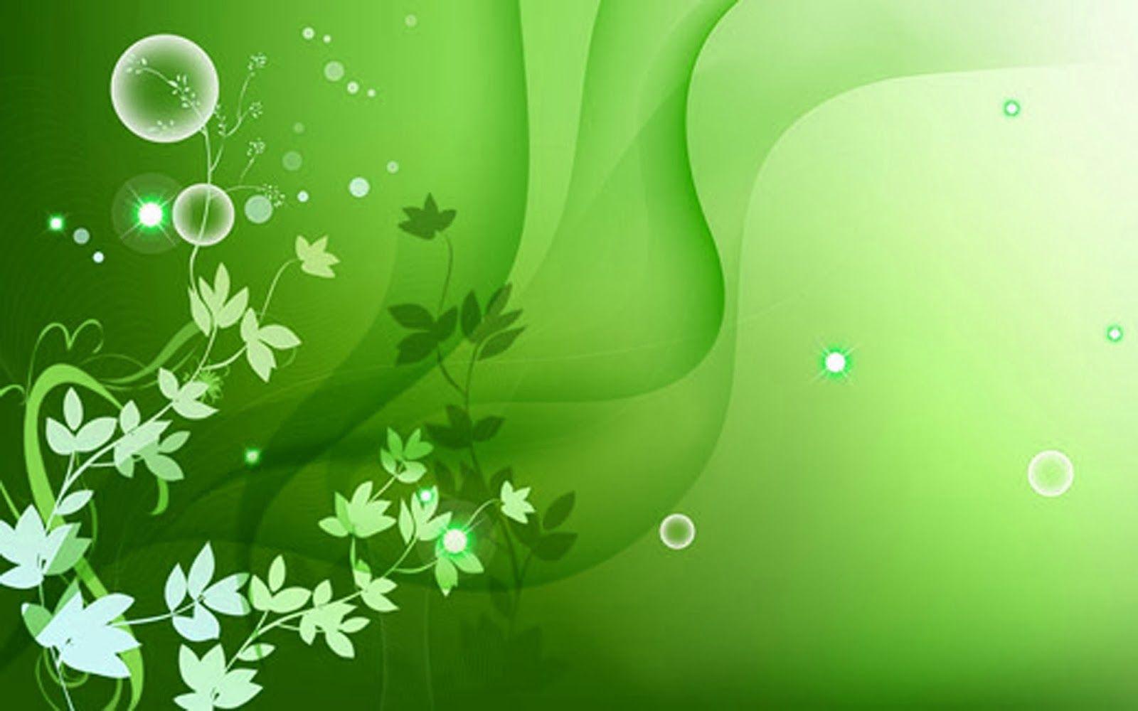 Green natural background HD wallpapers  Pxfuel