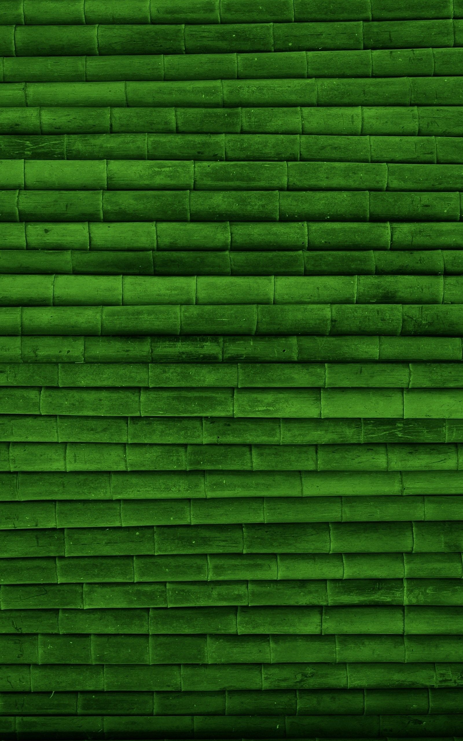 light green color wallpaper