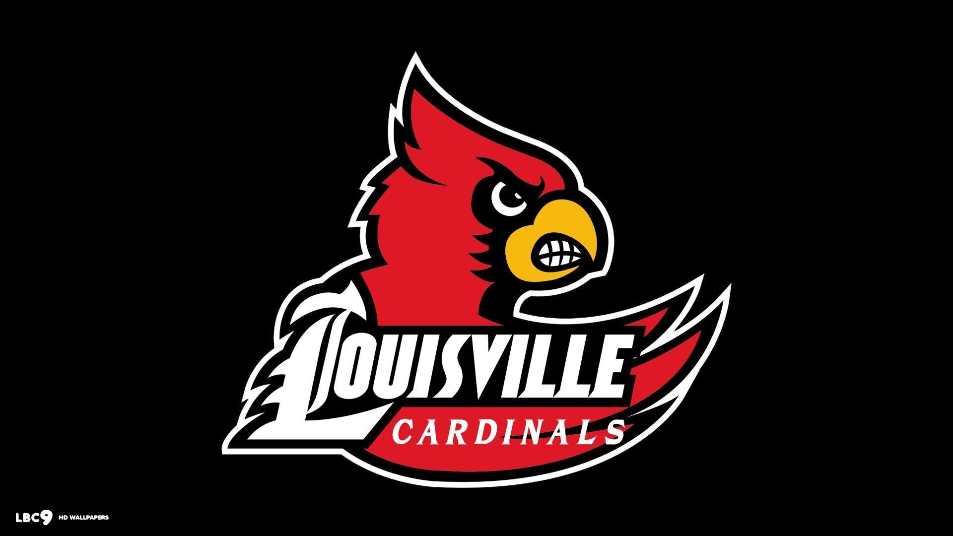 cardinals wallpaper 4k｜TikTok Search