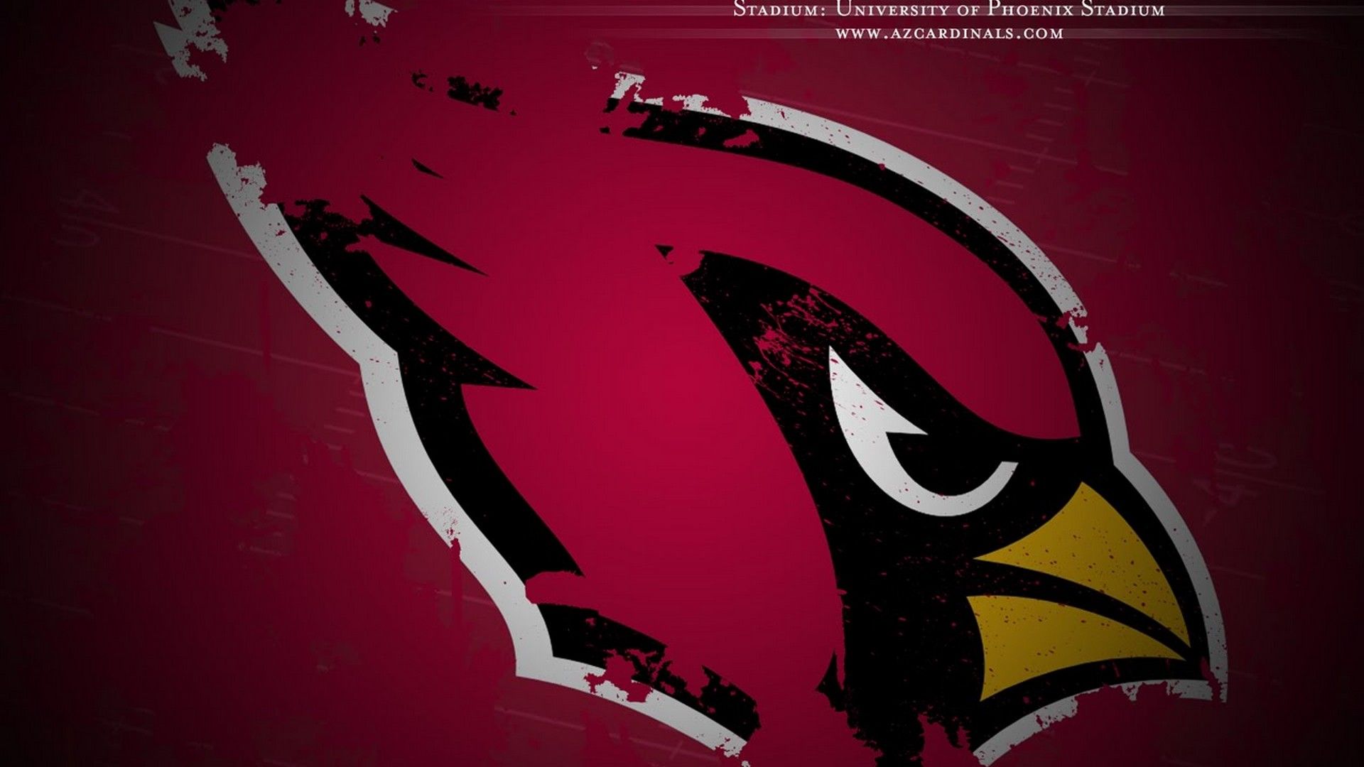 Arizona Cardinals - NFL Wallpaper (5207267) - Fanpop