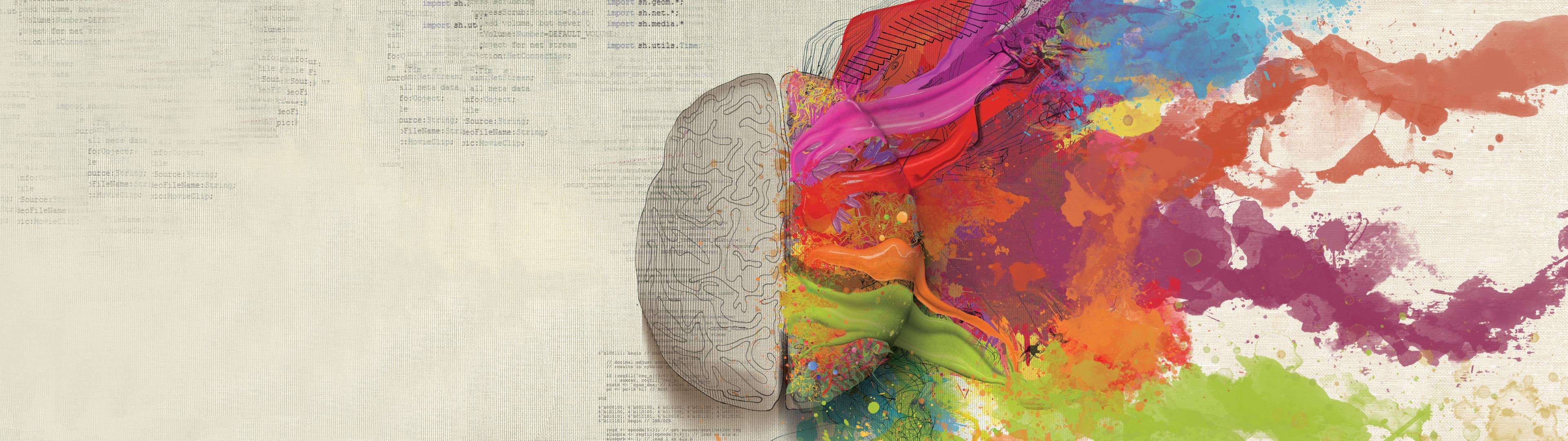 Featured image of post Brain Wallpaper Anatomy Download 425 brain anatomy free vectors