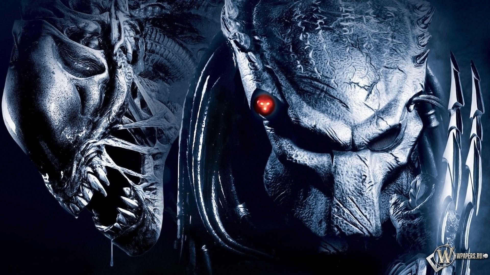Cool Alien vs Predator Wallpapers on WallpaperDog
