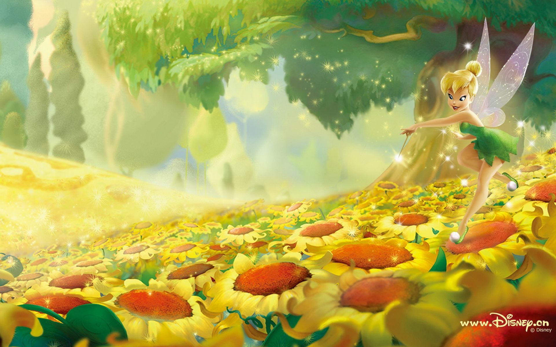 Tinkerbell Wallpapers Full HD  Wallpaper Cave