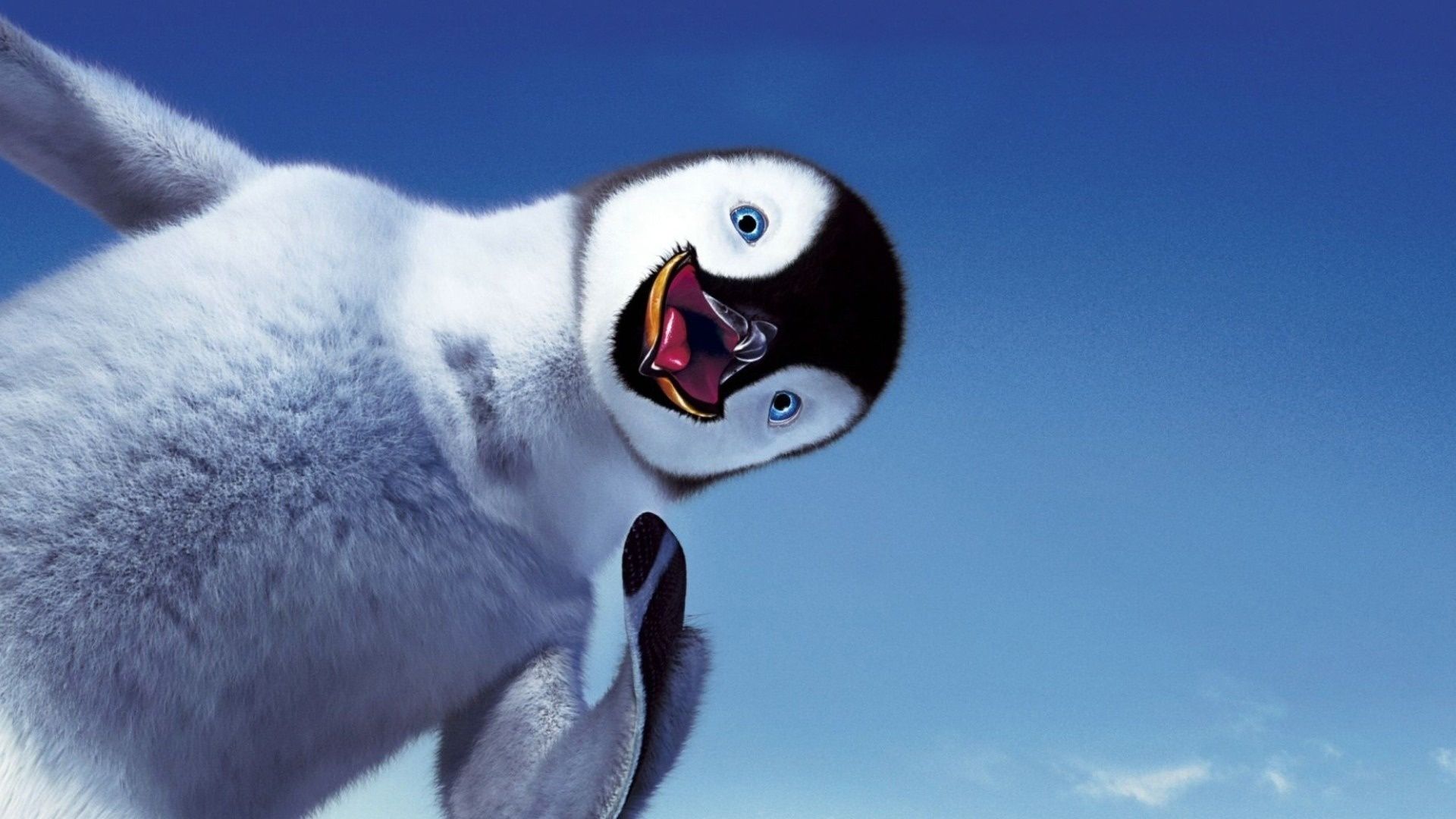 4K Penguin Wallpapers  Top Free 4K Penguin Backgrounds  WallpaperAccess