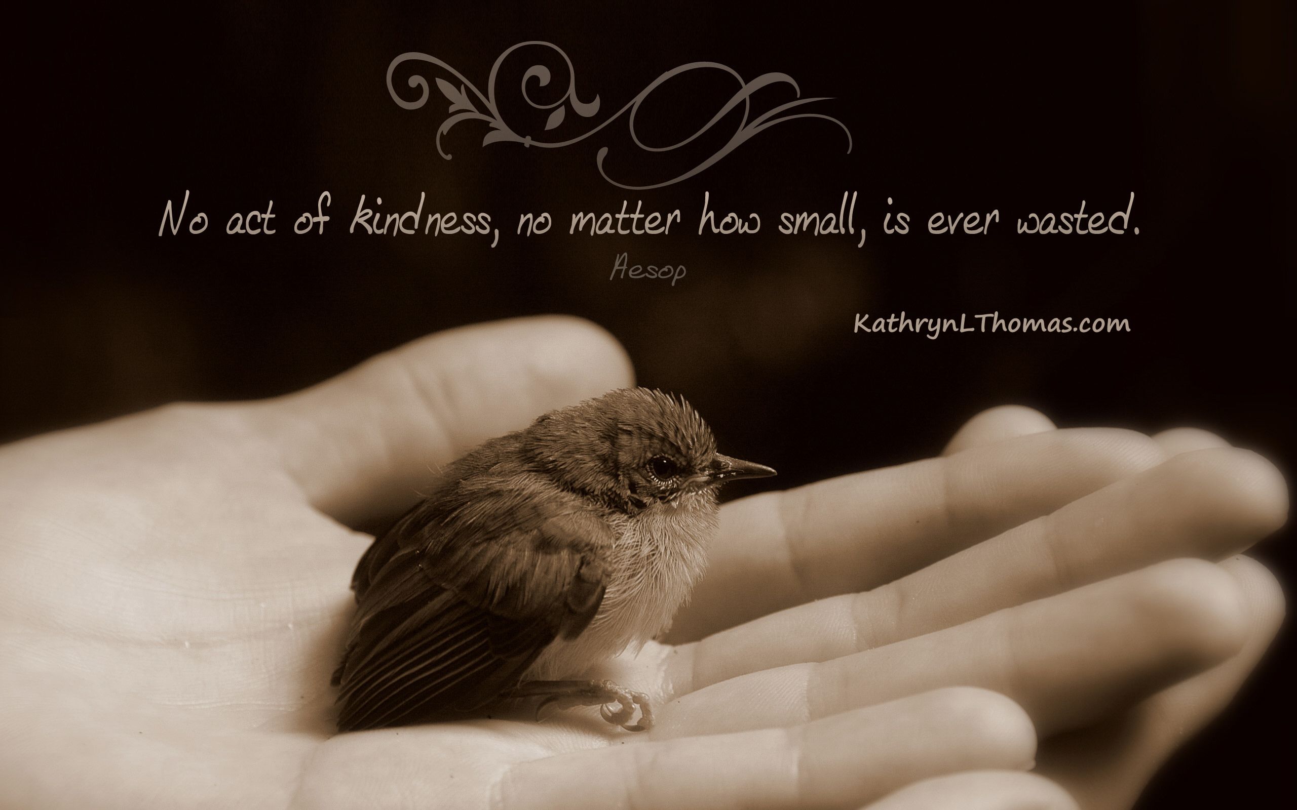 Motivational Wallpaper on kindness : Be kind for everyone is fighting -  Dont Give Up World