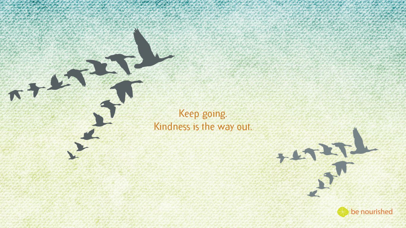 Kindness Wallpapers  Top Free Kindness Backgrounds  WallpaperAccess