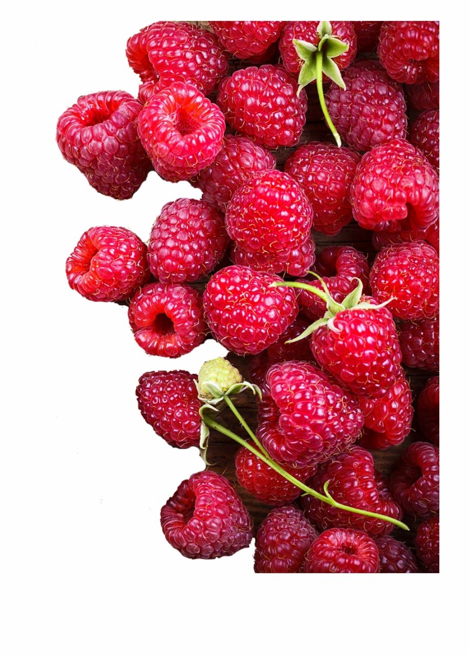 Raspberry Wallpapers on WallpaperDog