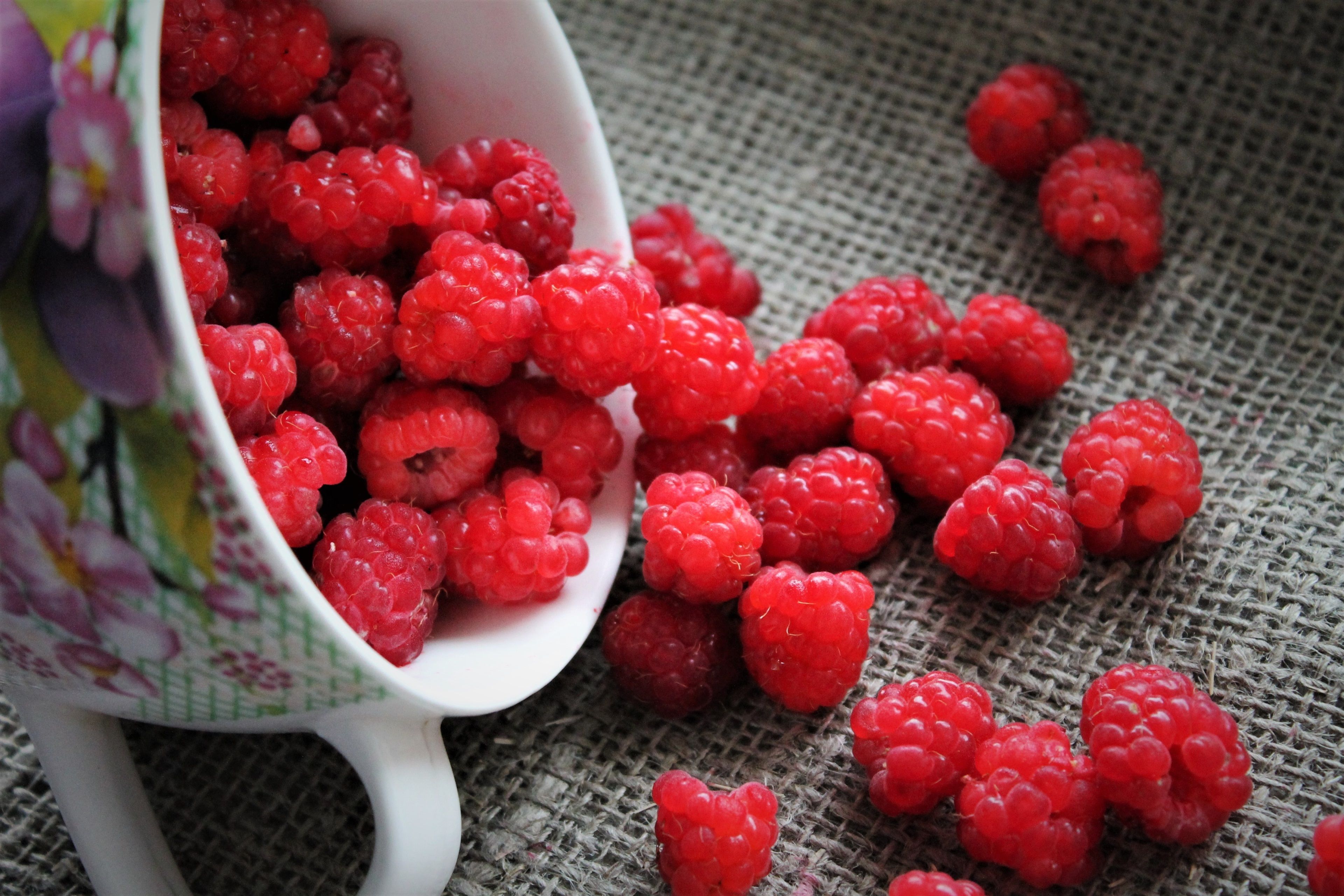Raspberry Wallpapers on WallpaperDog