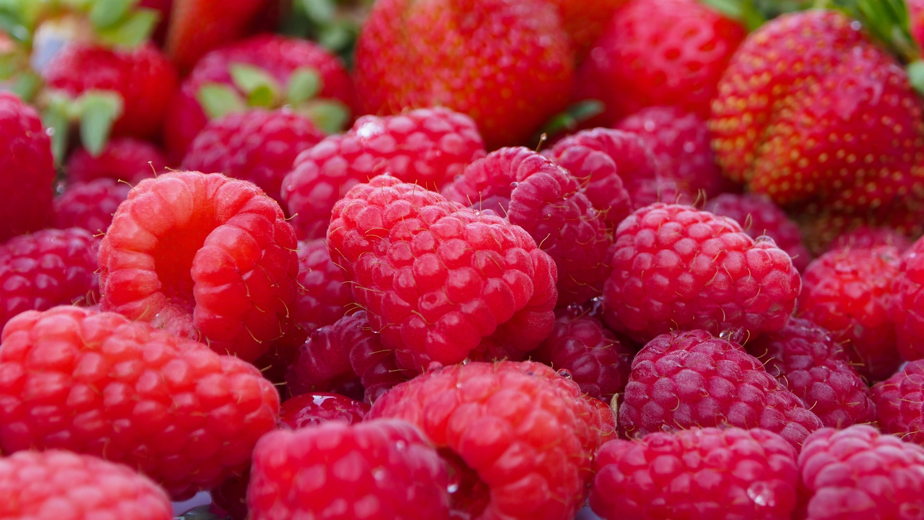 Raspberry Wallpapers on WallpaperDog