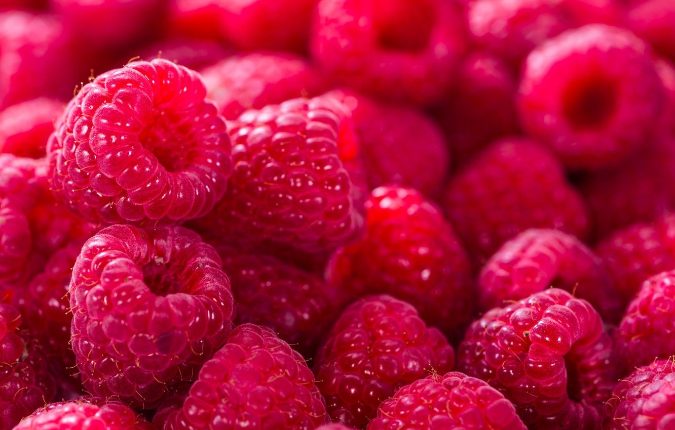 Raspberry Wallpapers on WallpaperDog